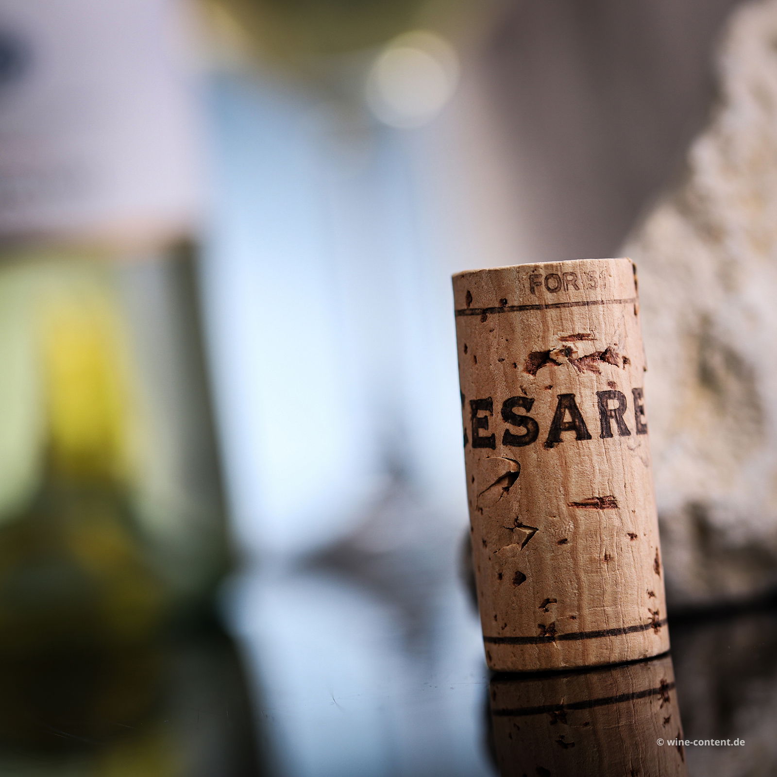 Gavi 2024