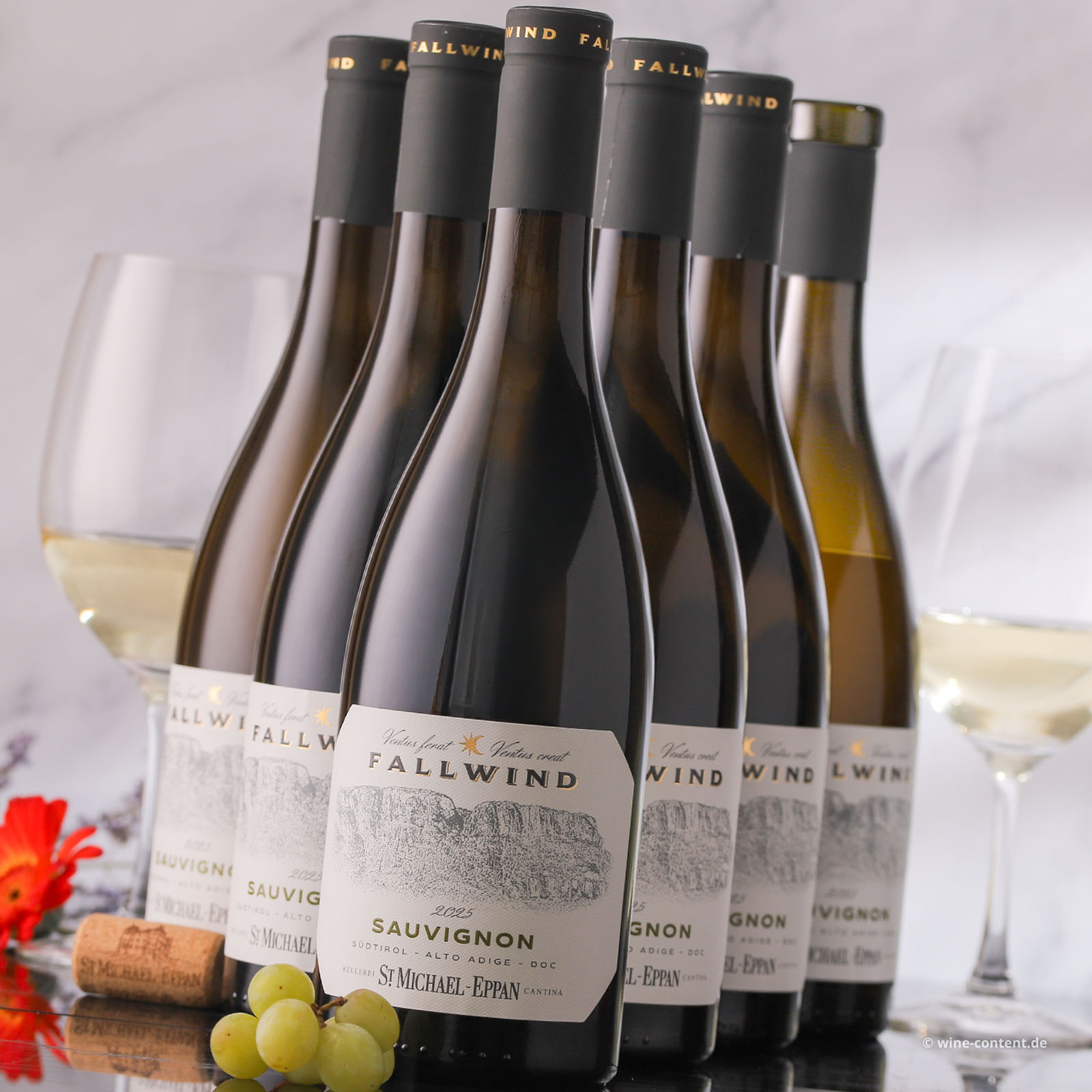 6er-Sparpaket Sauvignon Blanc 2025 Fallwind