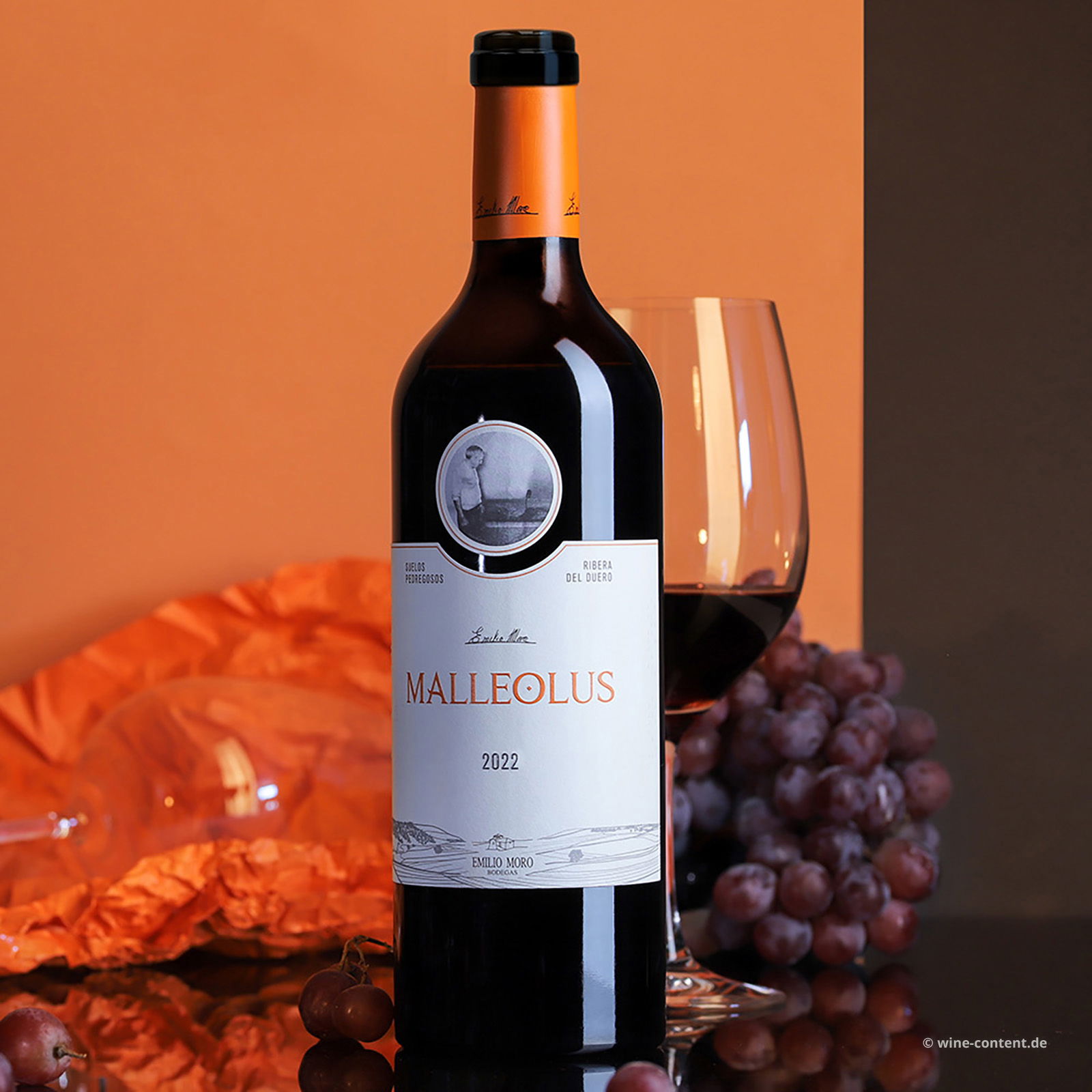 Tempranillo 2022 Malleolus