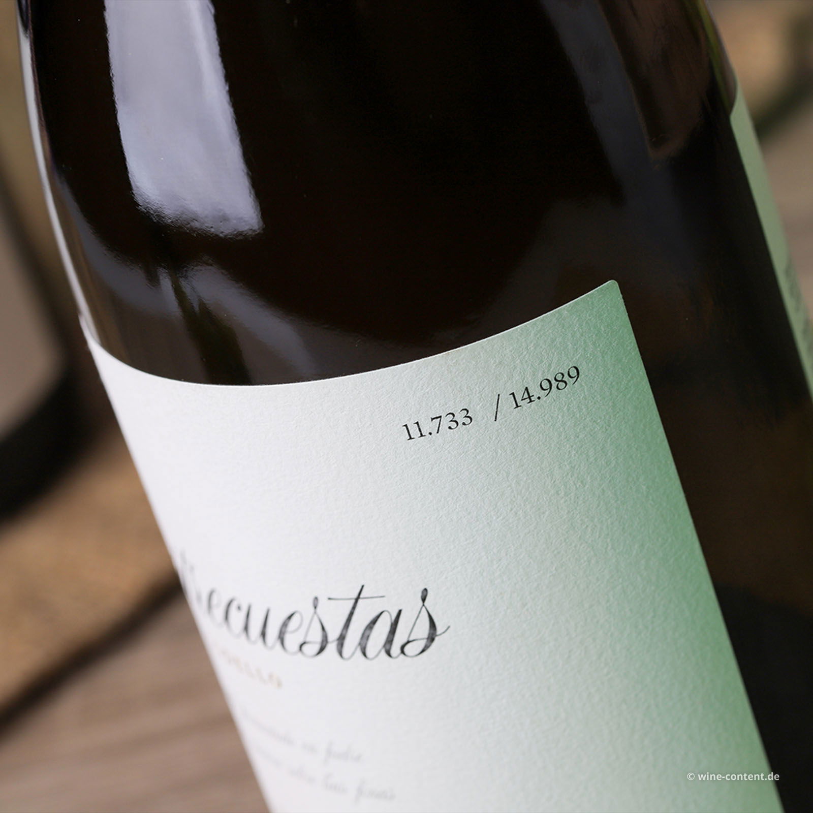 Godello 2021 Tilenus Entrecuestas Godello 2021 Tilenus Entrecuestas