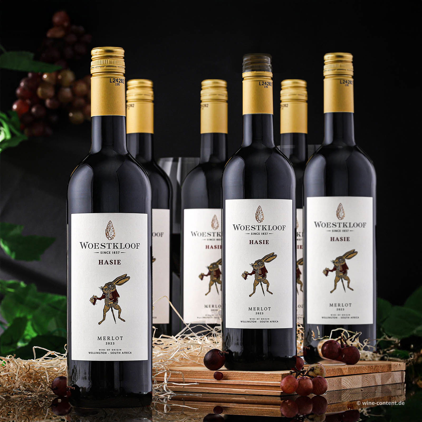 5+1 Sparpaket Merlot 2023 Hasie