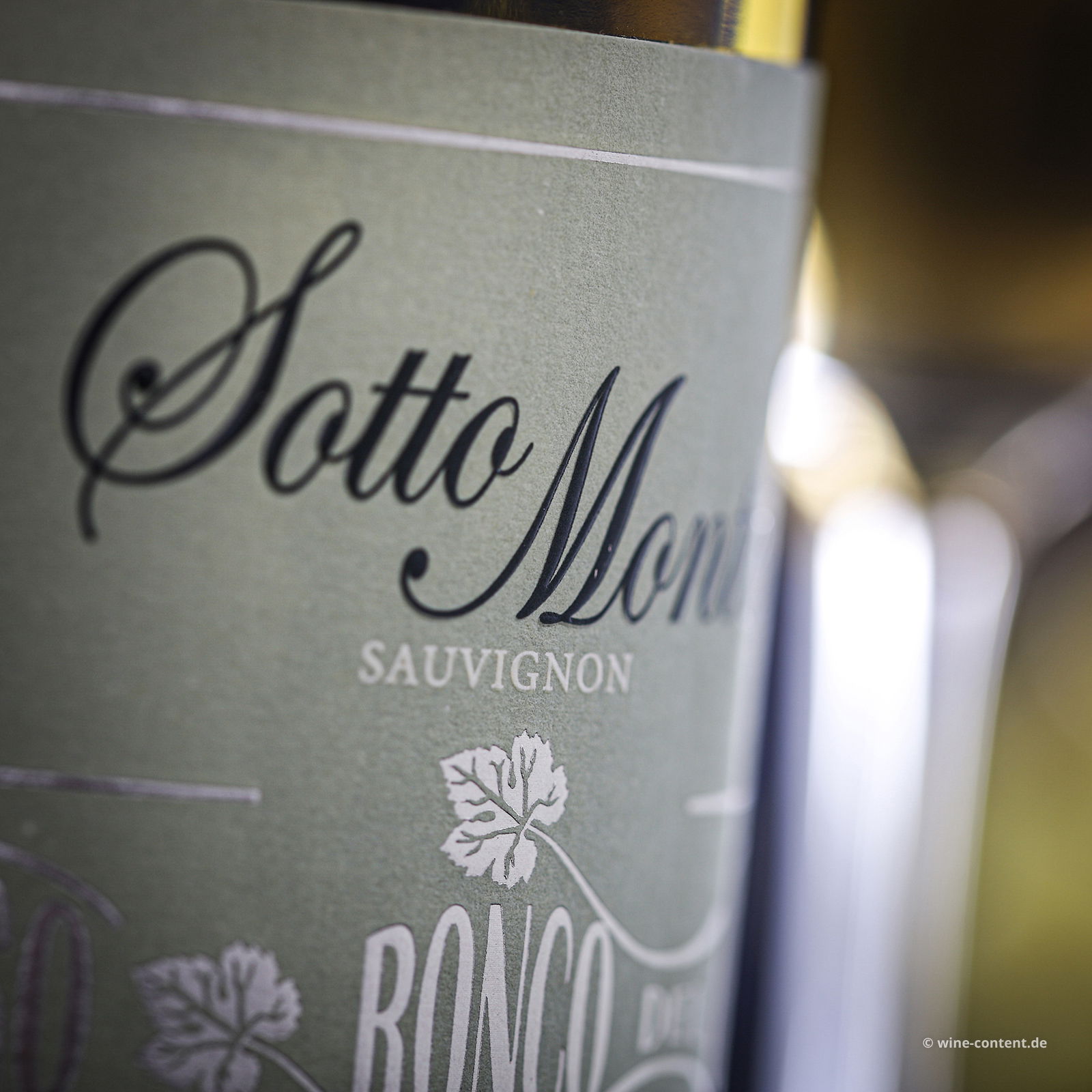Sauvignon 2023 Sottomonte