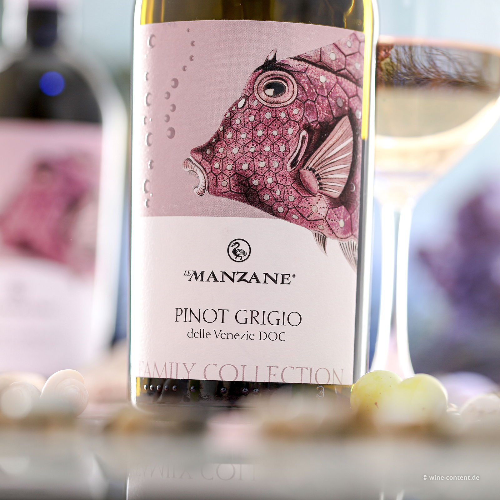 6er-Sparpaket Pinot Grigio delle Venezie 2025