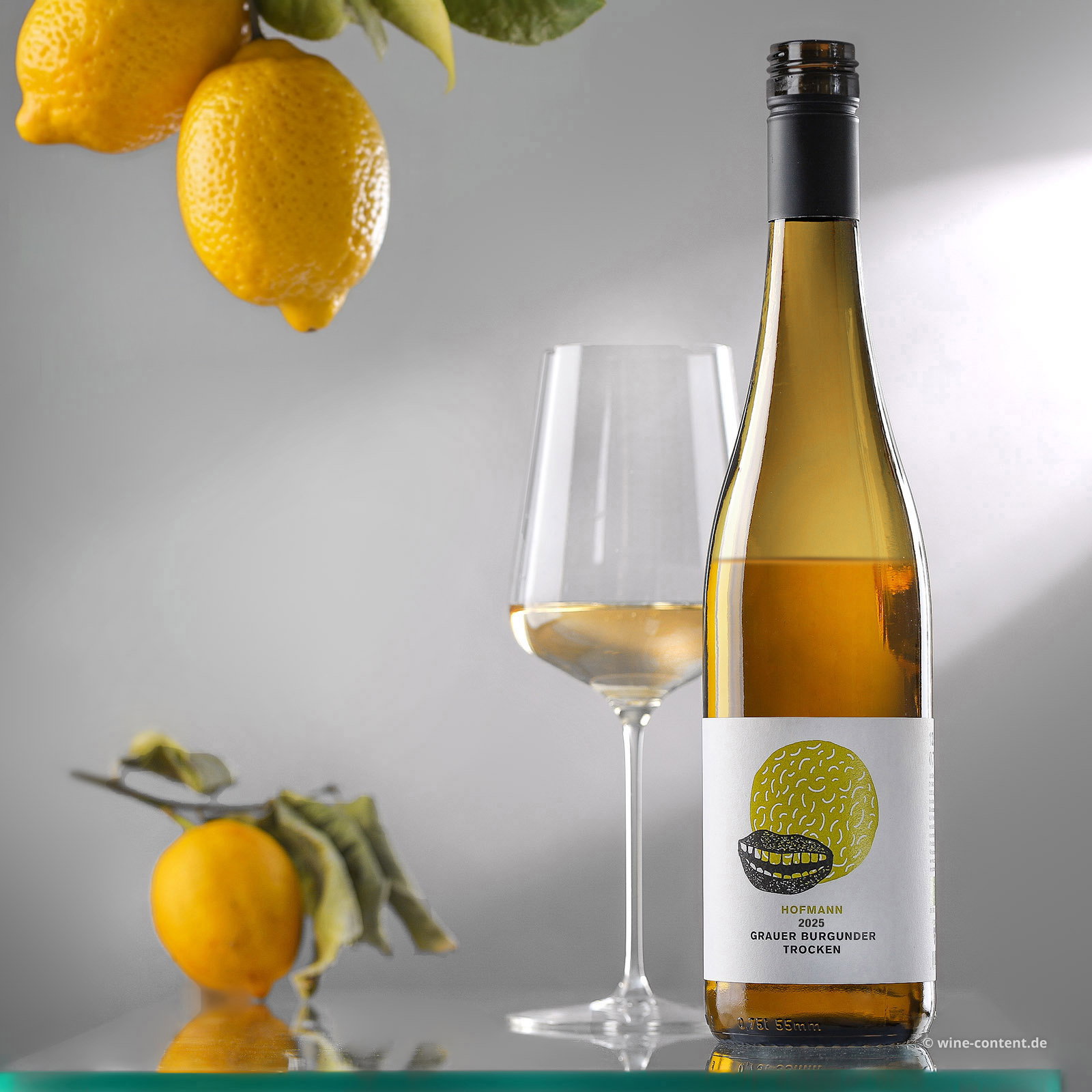 Grauer Burgunder 2025 Kussmund Bio