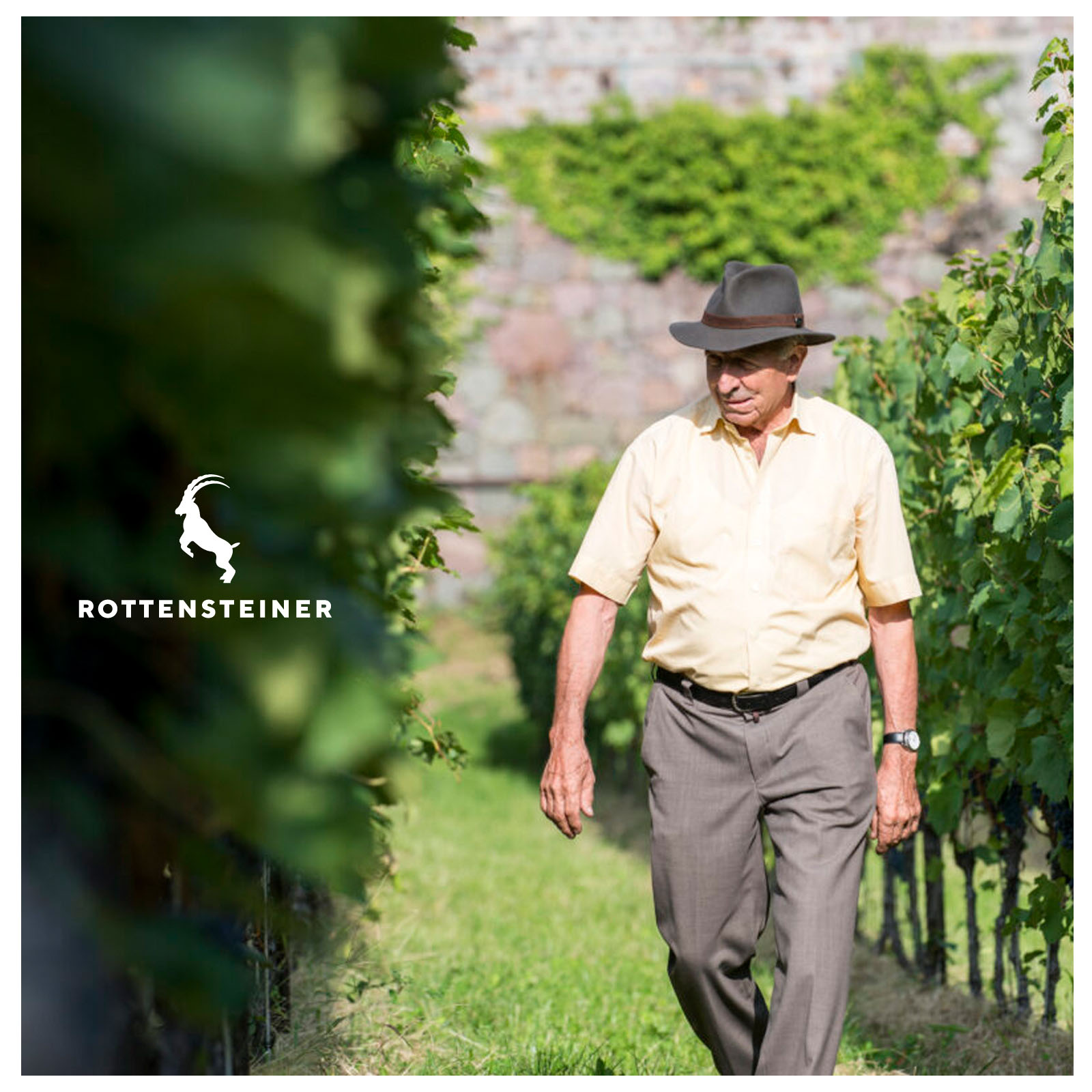 6er-Sparpaket Kitz 2025