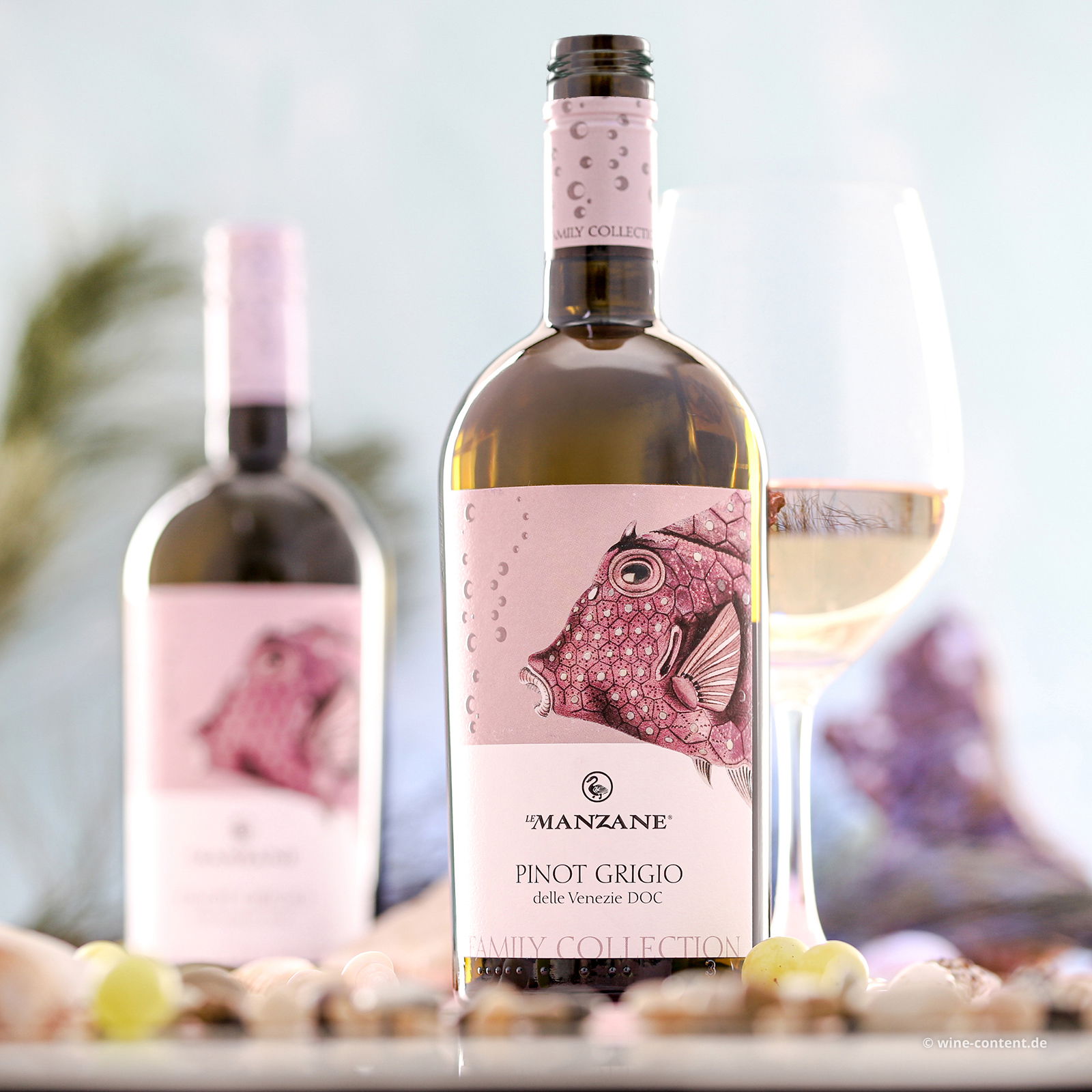 Pinot Grigio delle Venezie 2025