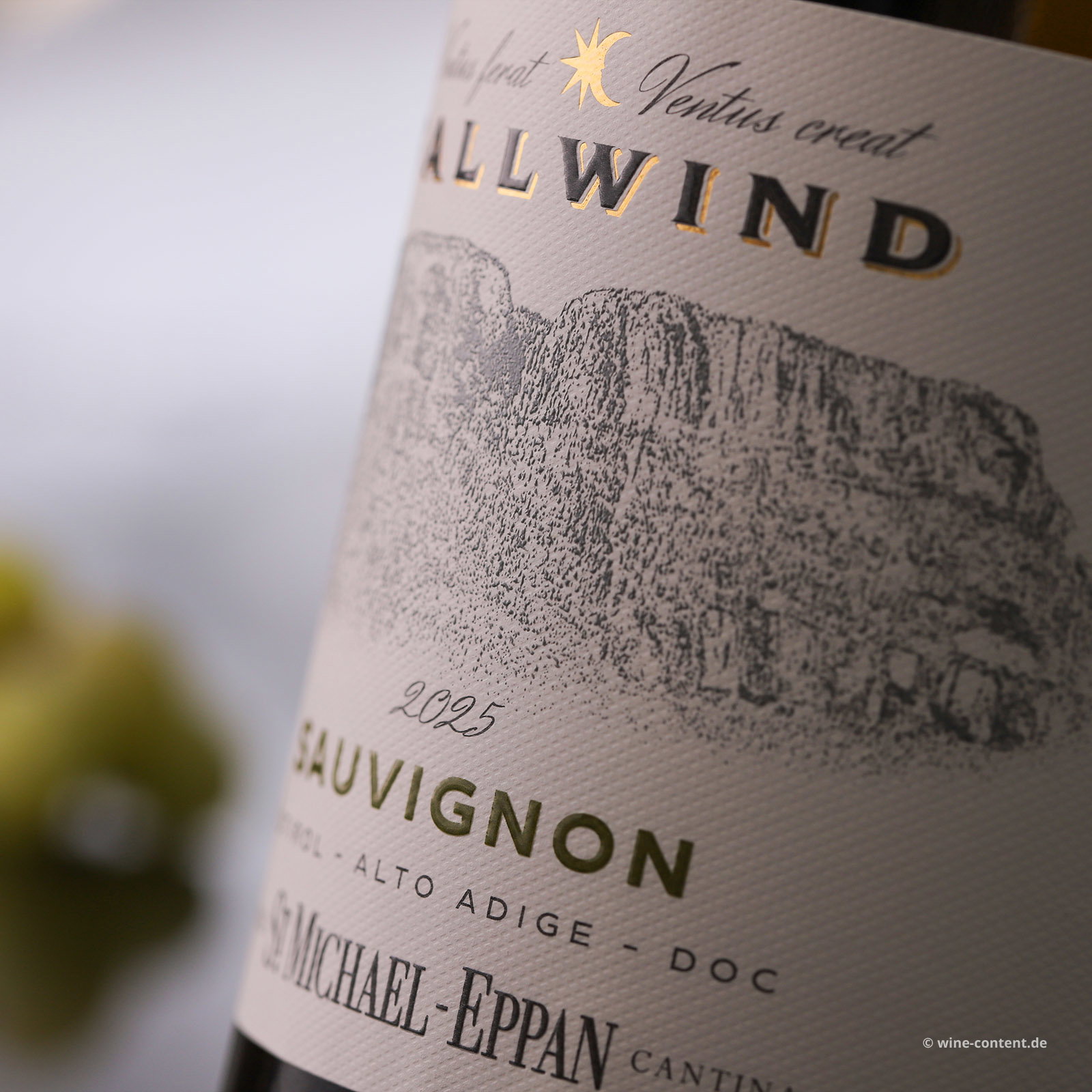 Sauvignon Blanc 2025 Fallwind