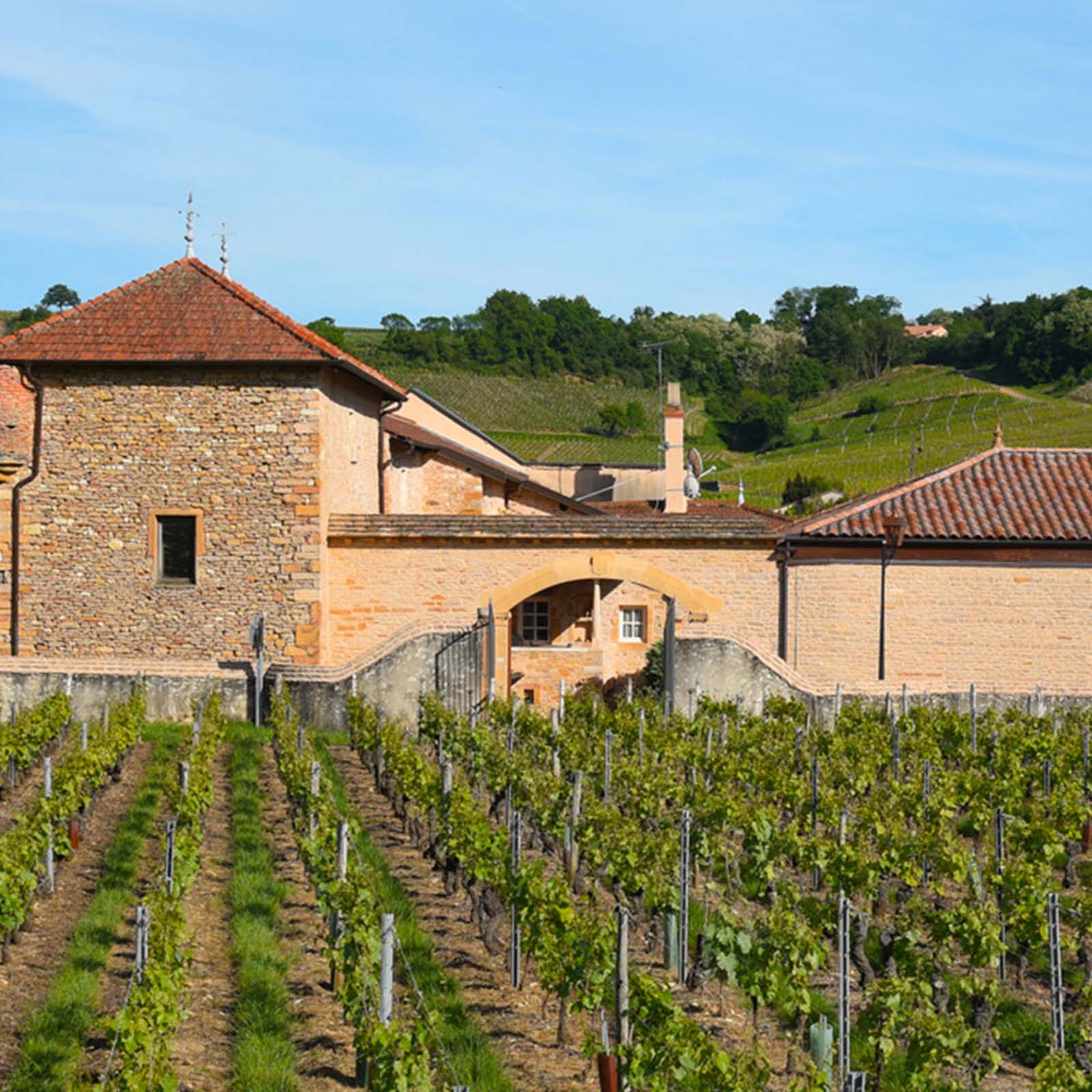 Mâcon-Vinzelles 2024 En Paradis