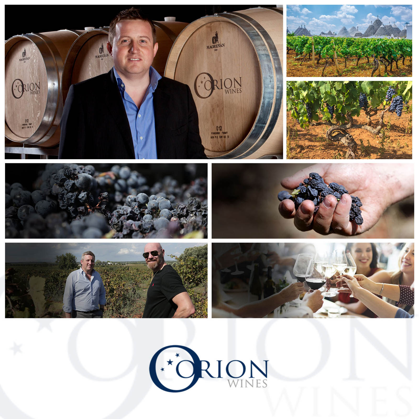 Primitivo 2024 Zensa Bio Primitivo 2024 Zensa Bio