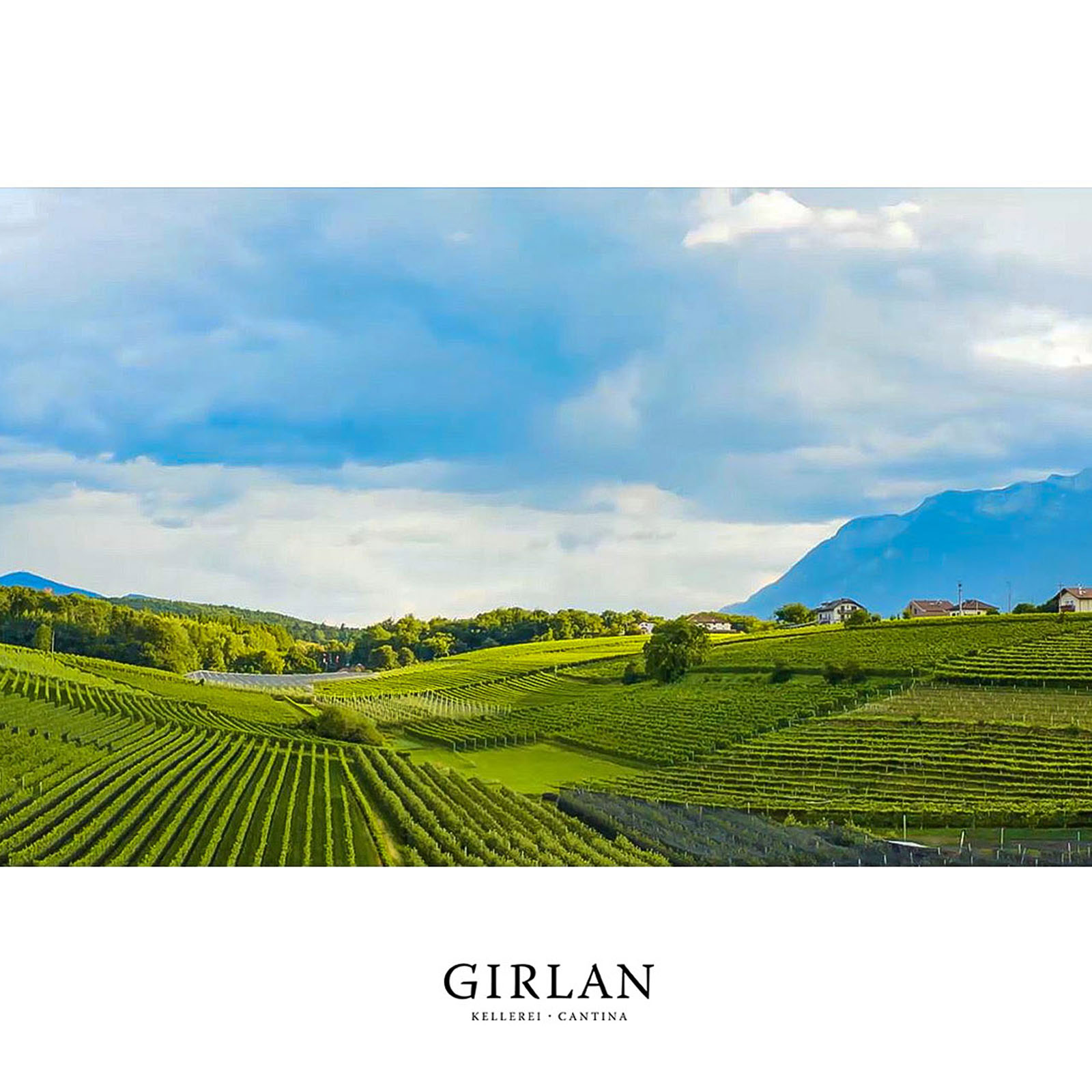 Pinot Noir Riserva 2021 Curlan