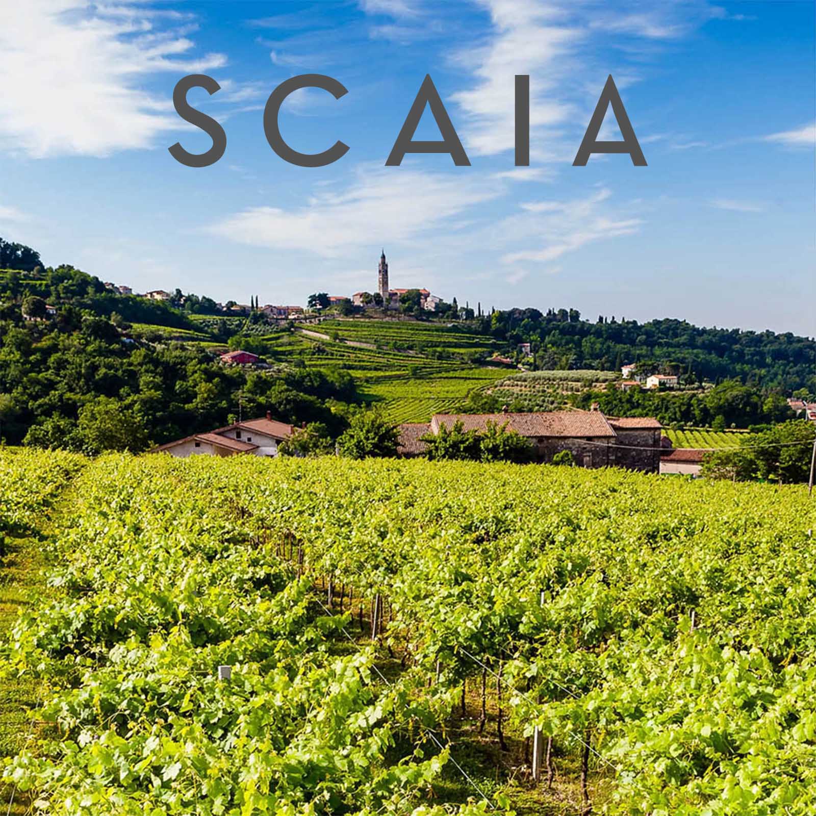 6er-Sparpaket Scaia Rosso 2022 Paradiso