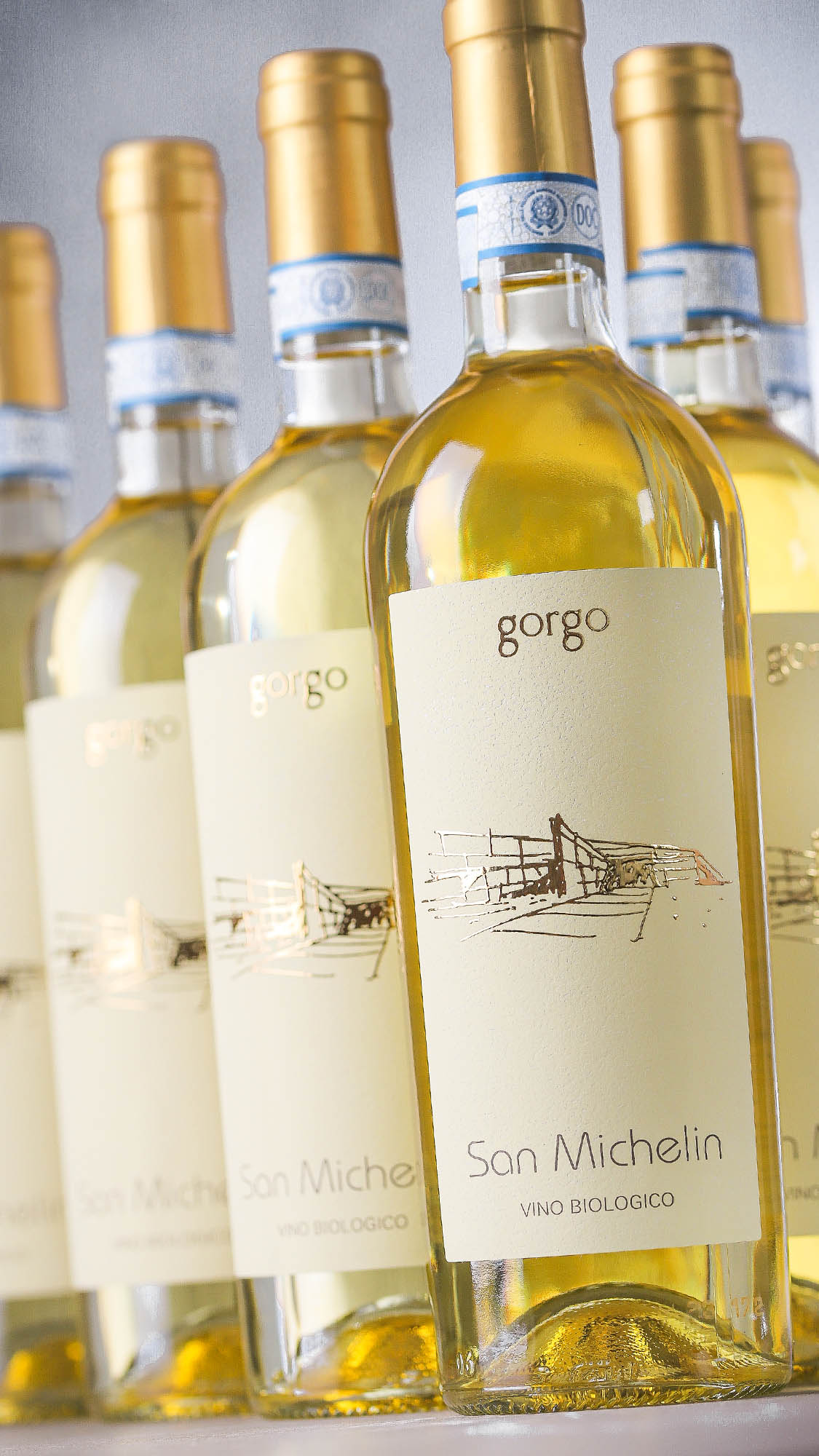 6er-Sparpaket Custoza 2025 San Michelin Bio