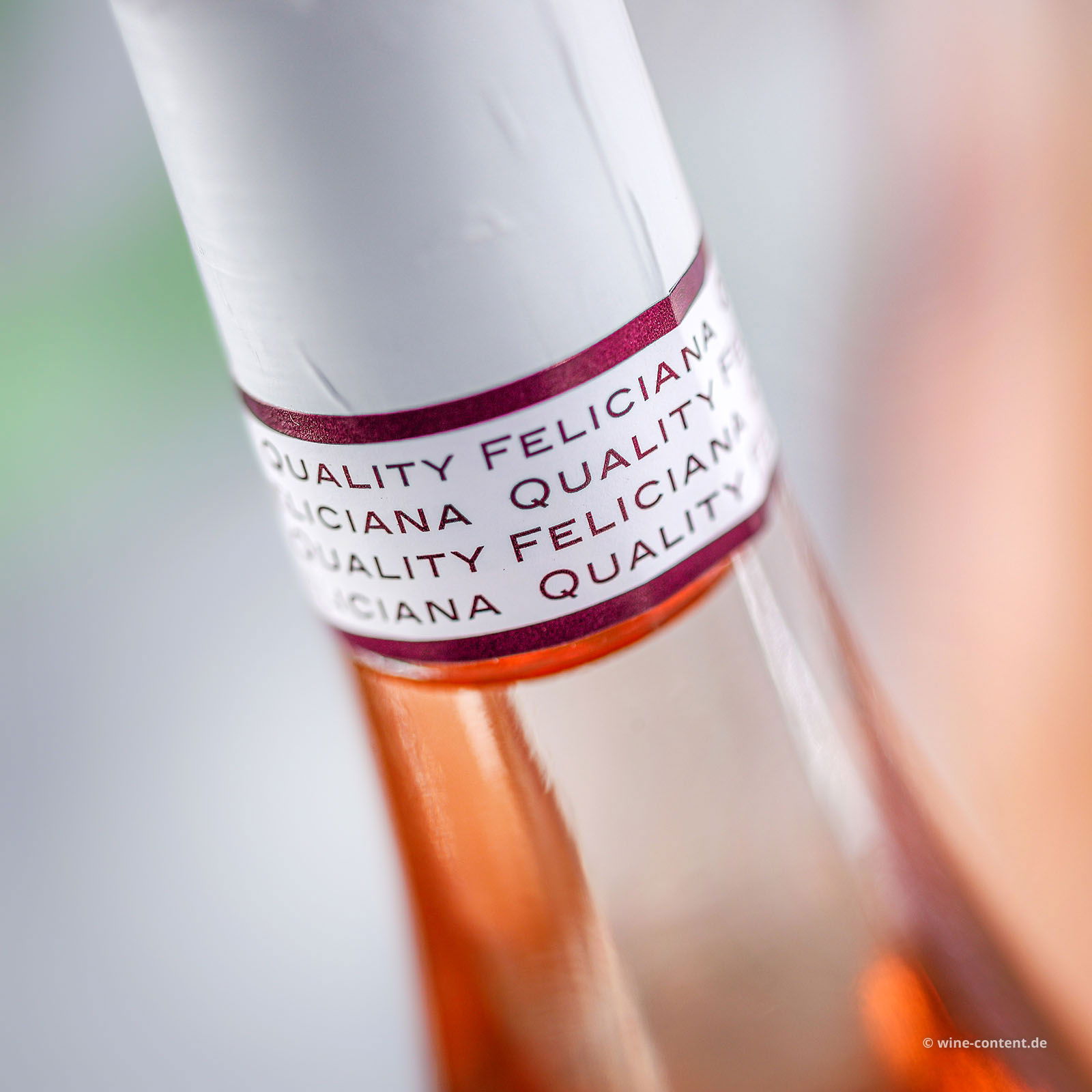 6er-Sparpaket Chiaretto Garda Classico 2024 Feudo