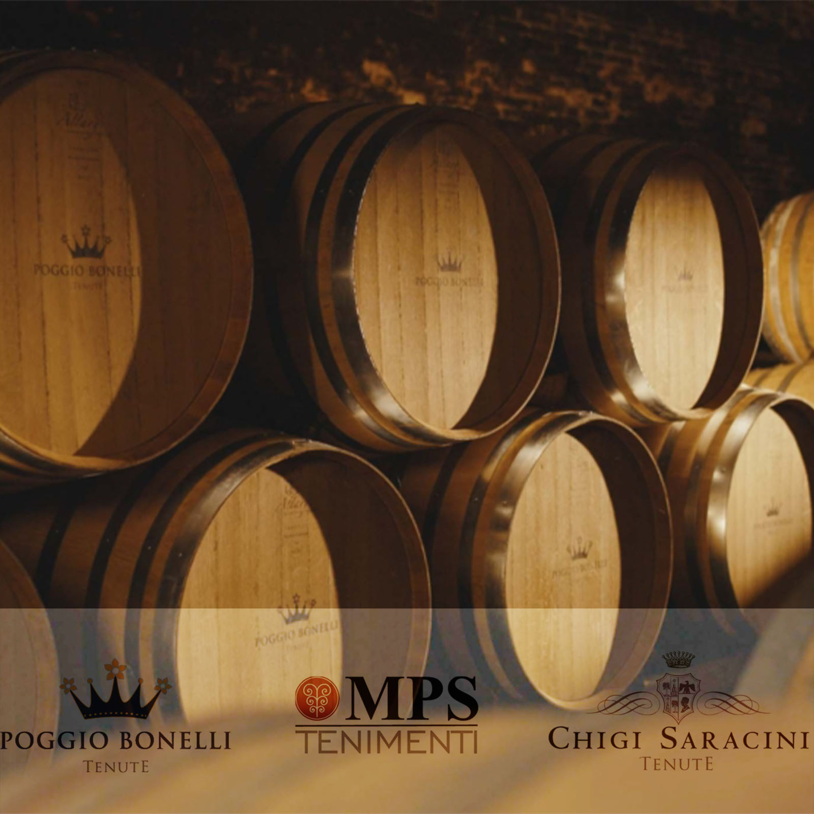 0,5 L Olivenöl Extra Vergine Terre di Siena 2025 Bio