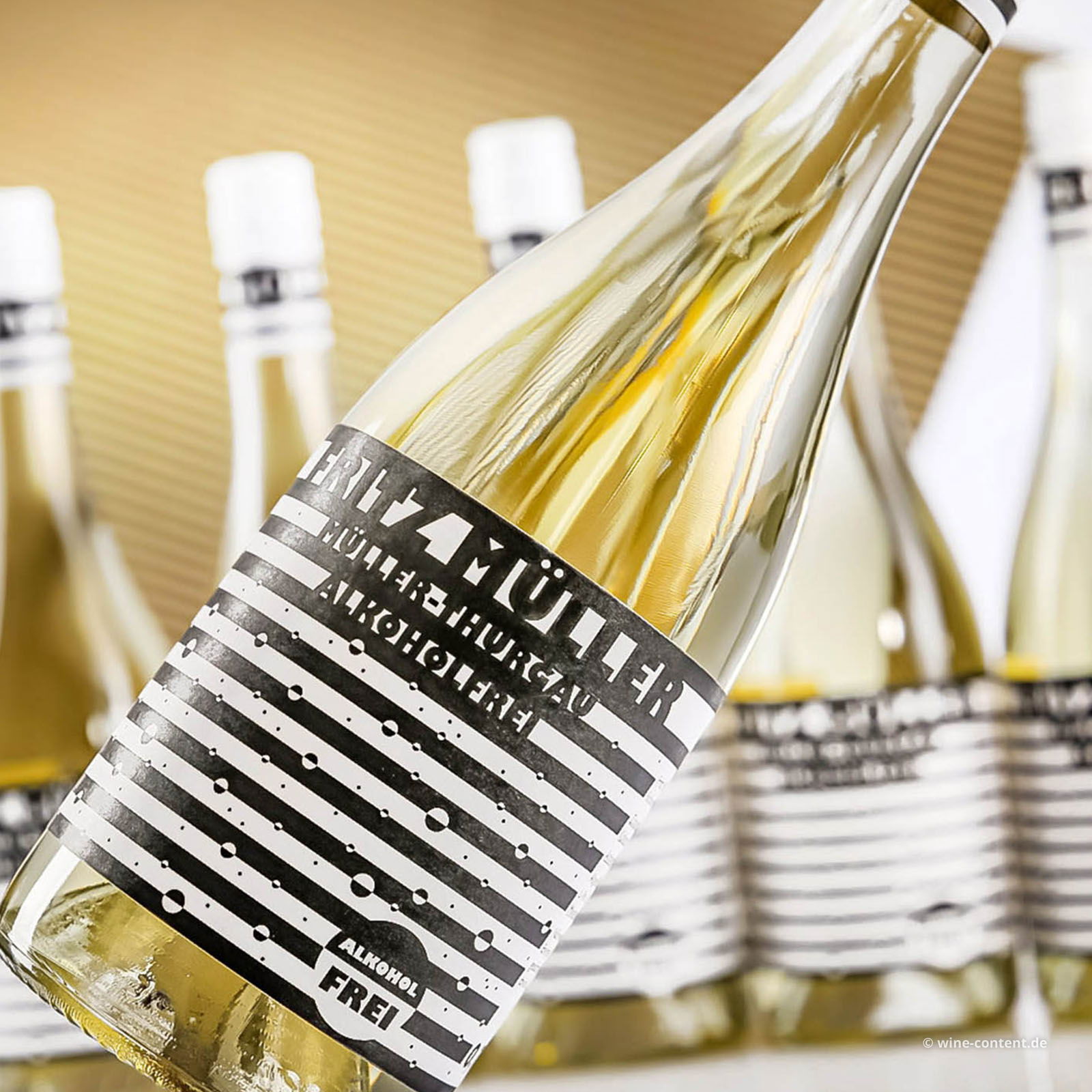 6er-Sparpaket Fritz Müller - alkoholfrei