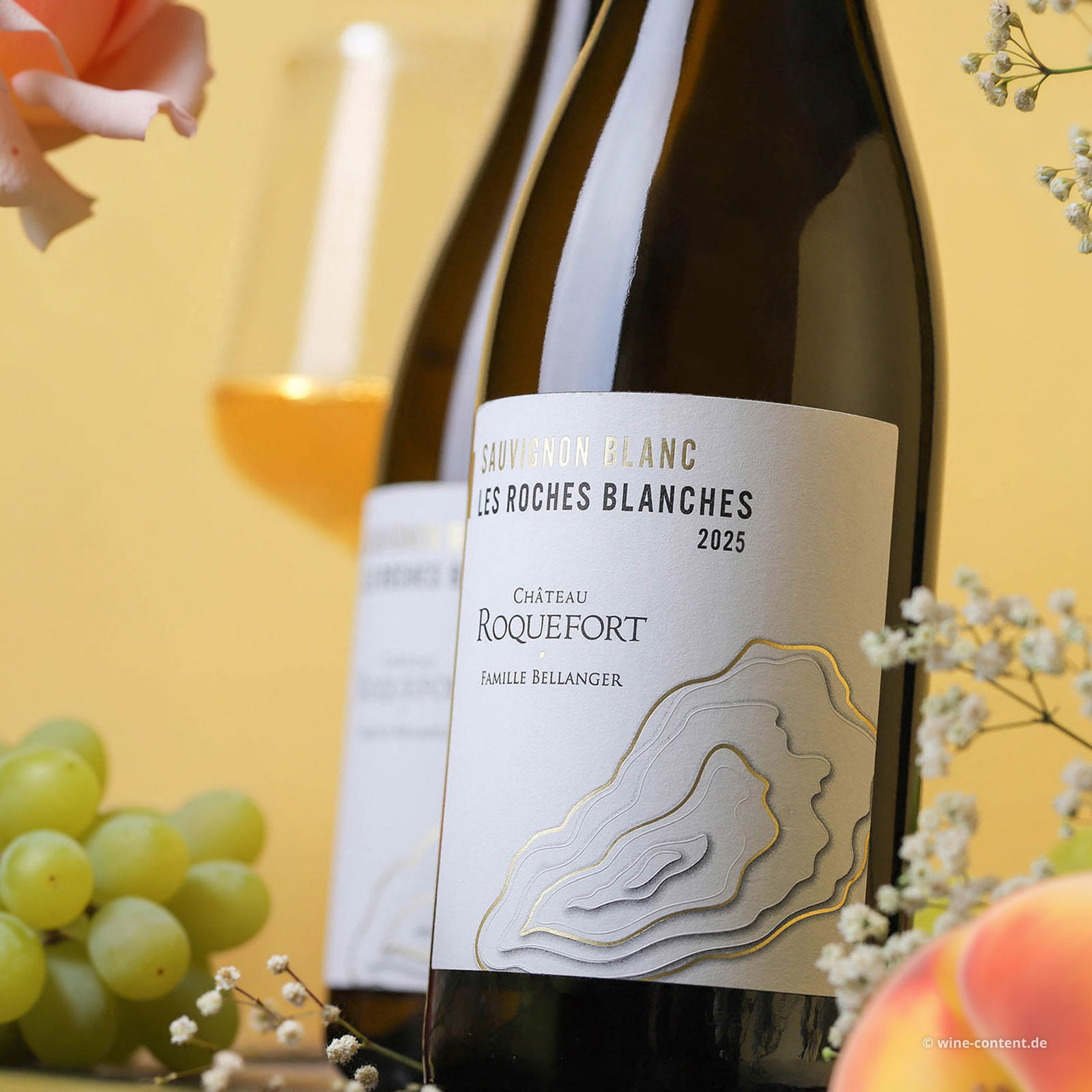 Sauvignon Blanc 2025 Les Roches Blanches Bio