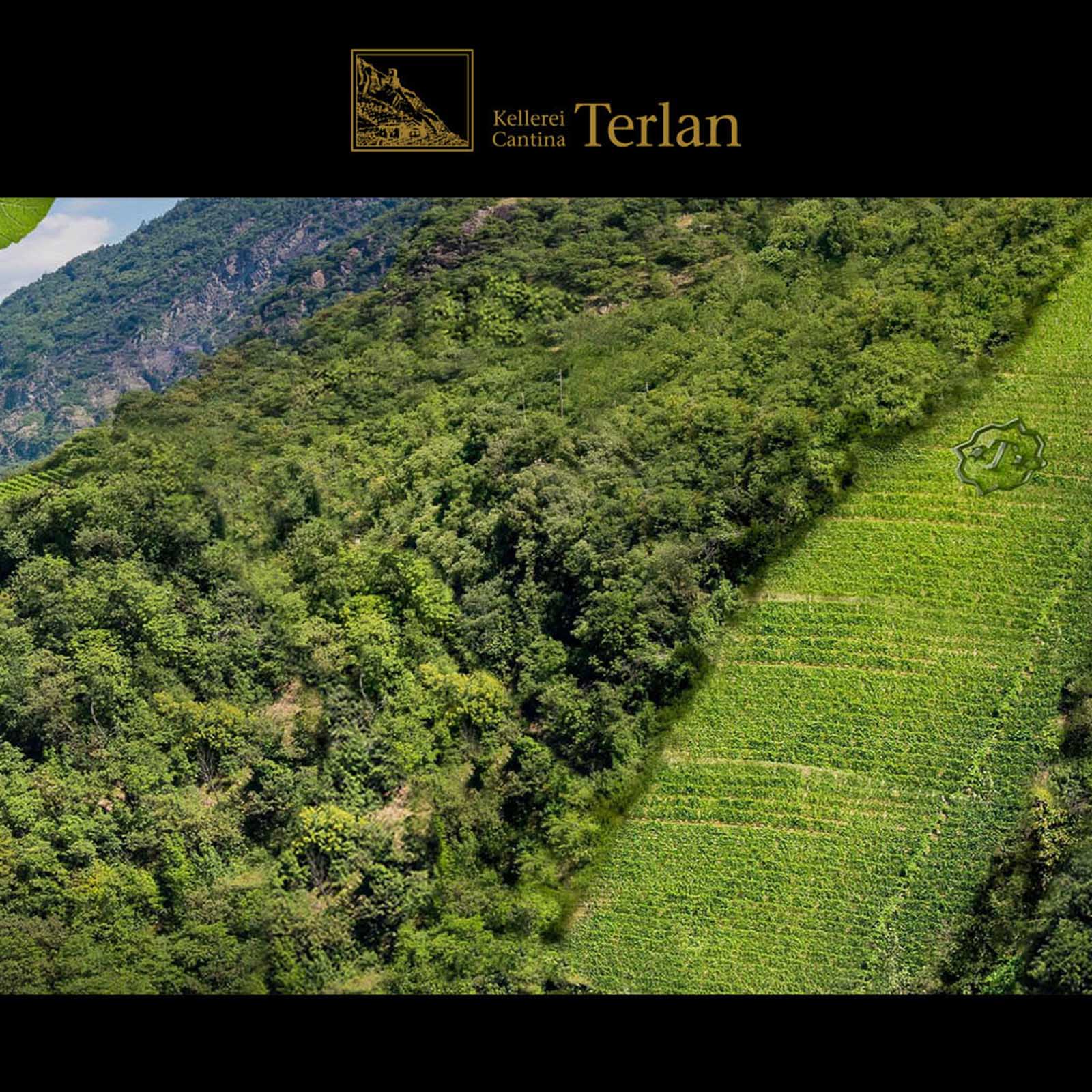 Pinot Noir Riserva 2022 Monticol