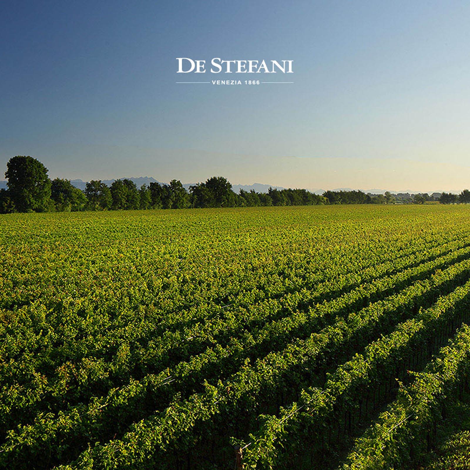 Prosecco Rosé 2024 0.15 Brut