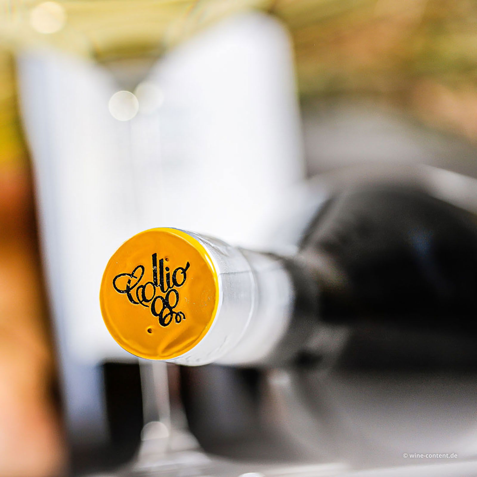 Pinot Grigio Collio 2024