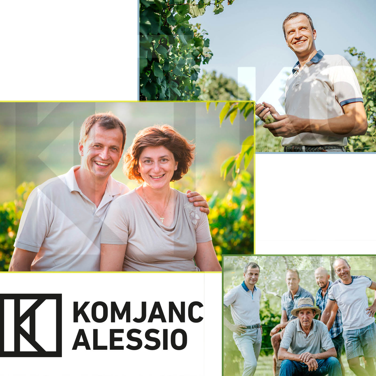 Pinot Bianco Collio 2024