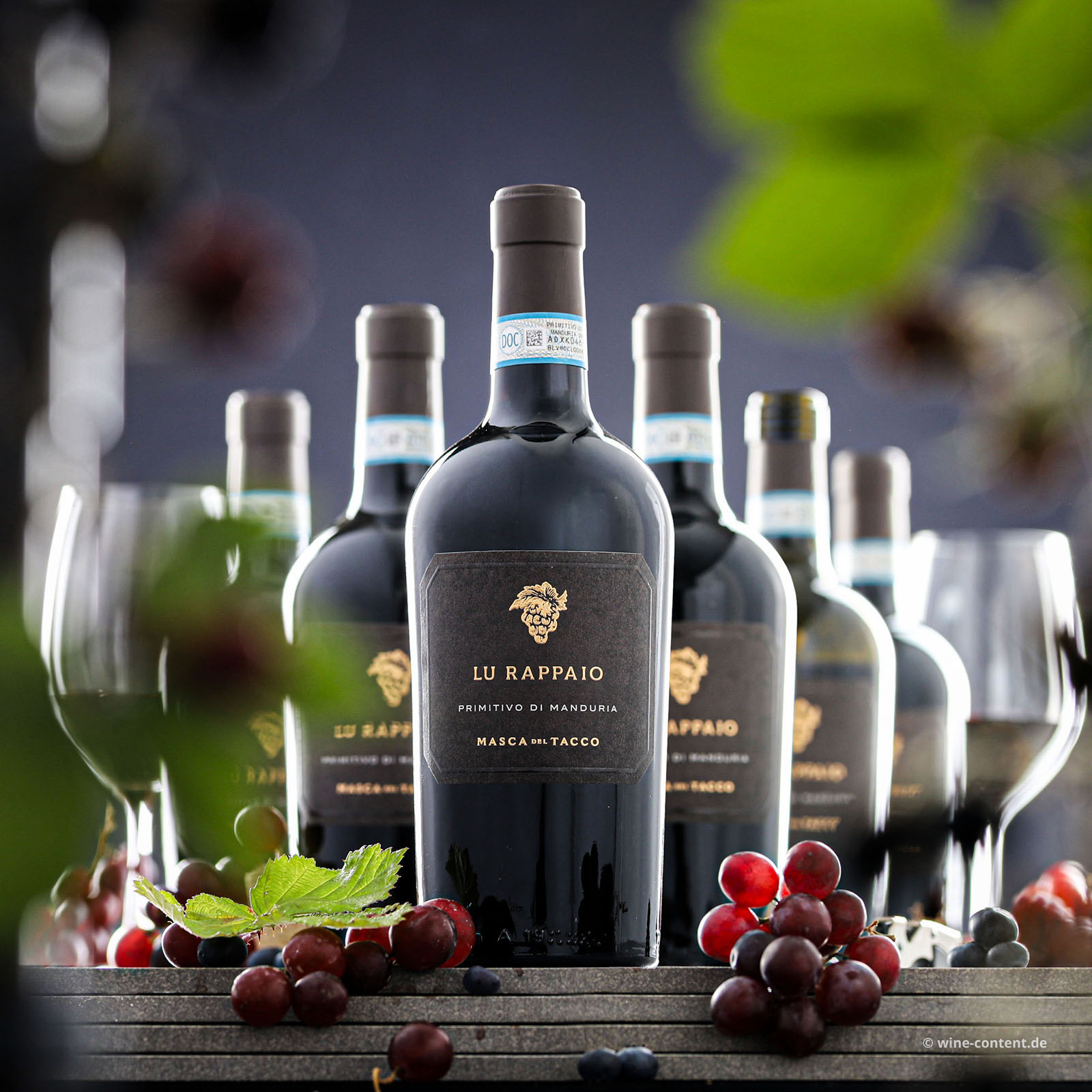 6er-Sparpaket Primitivo di Manduria 2024 Lu Rappaio