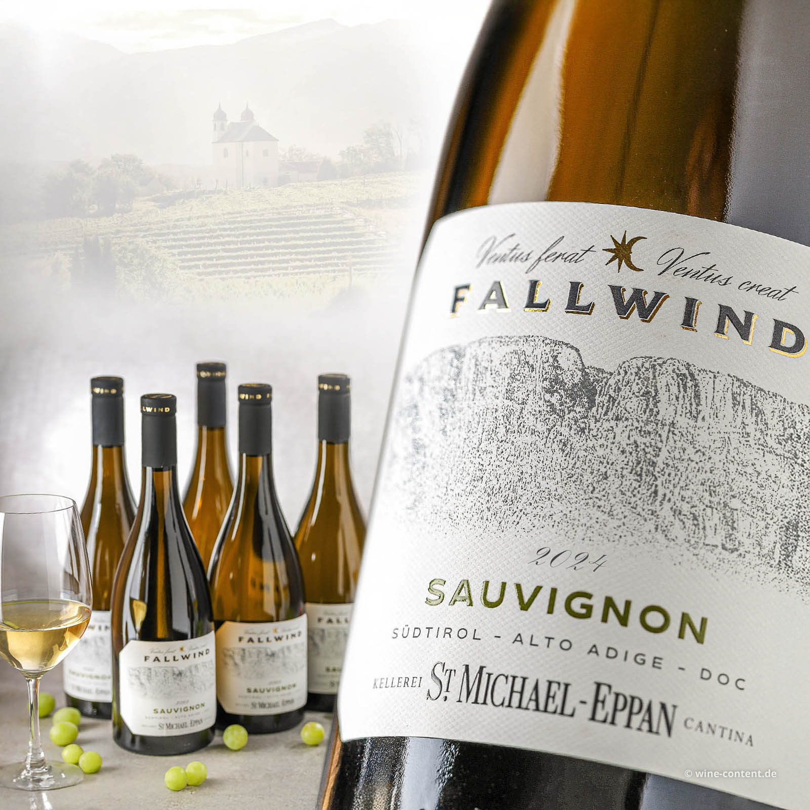 6er-Sparpaket Sauvignon Blanc 2024 Fallwind