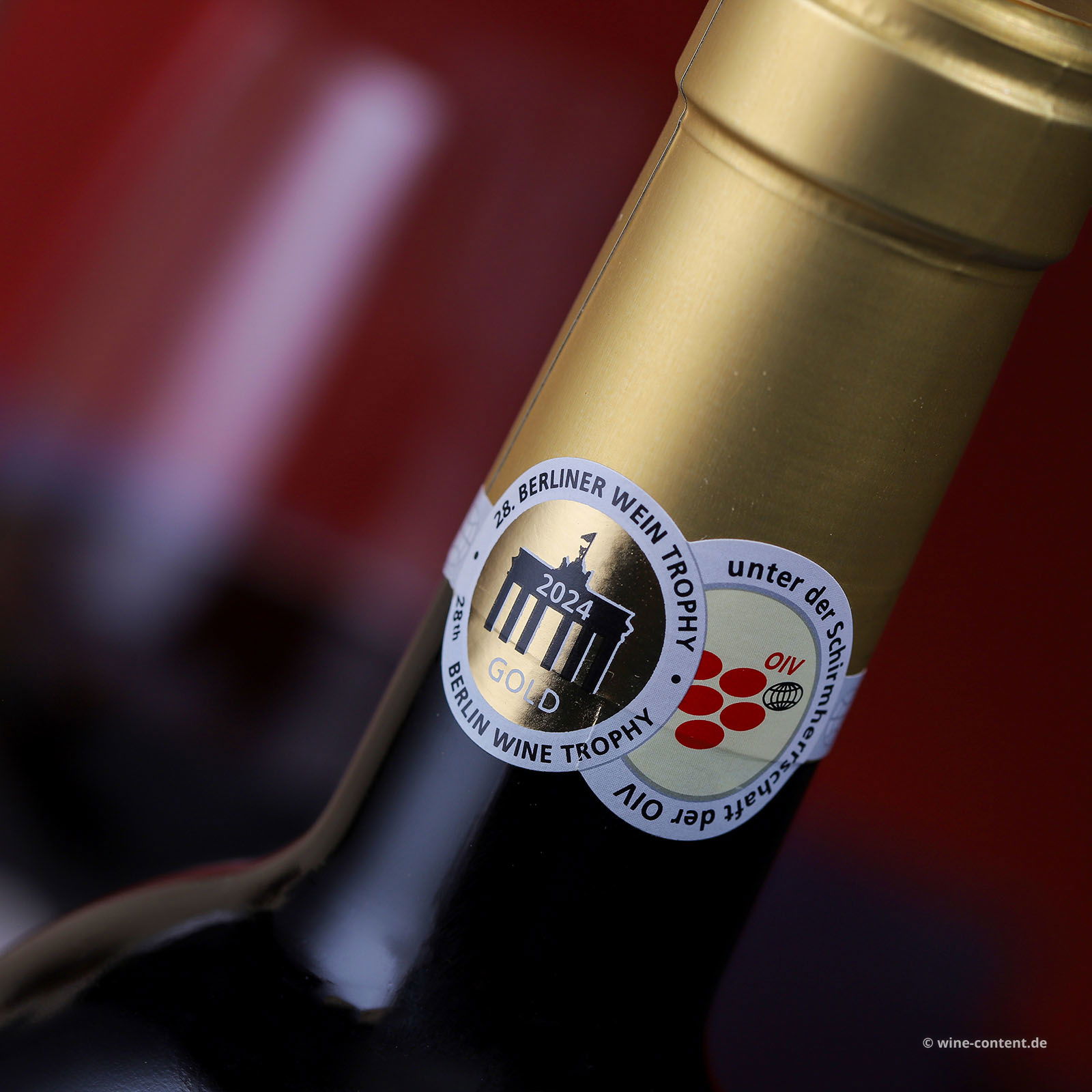 Primitivo 2023 Gran Appasso Collezione