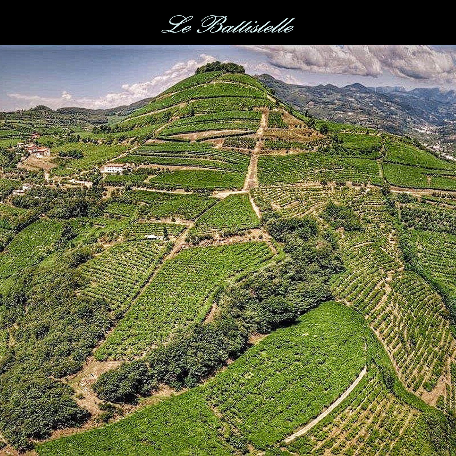 Soave Classico 2023 Montesei