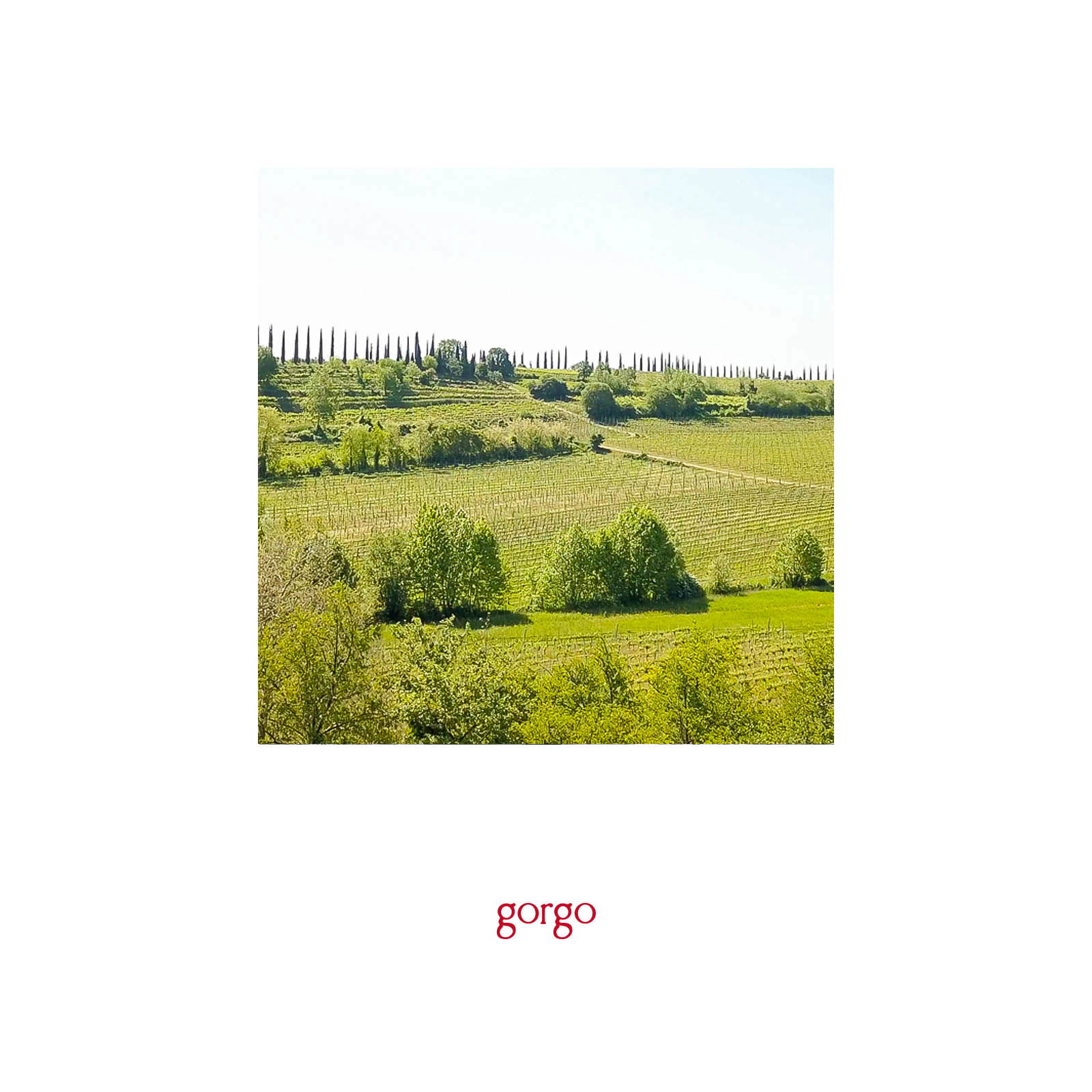 6er-Sparpaket Custoza 2024 Bio