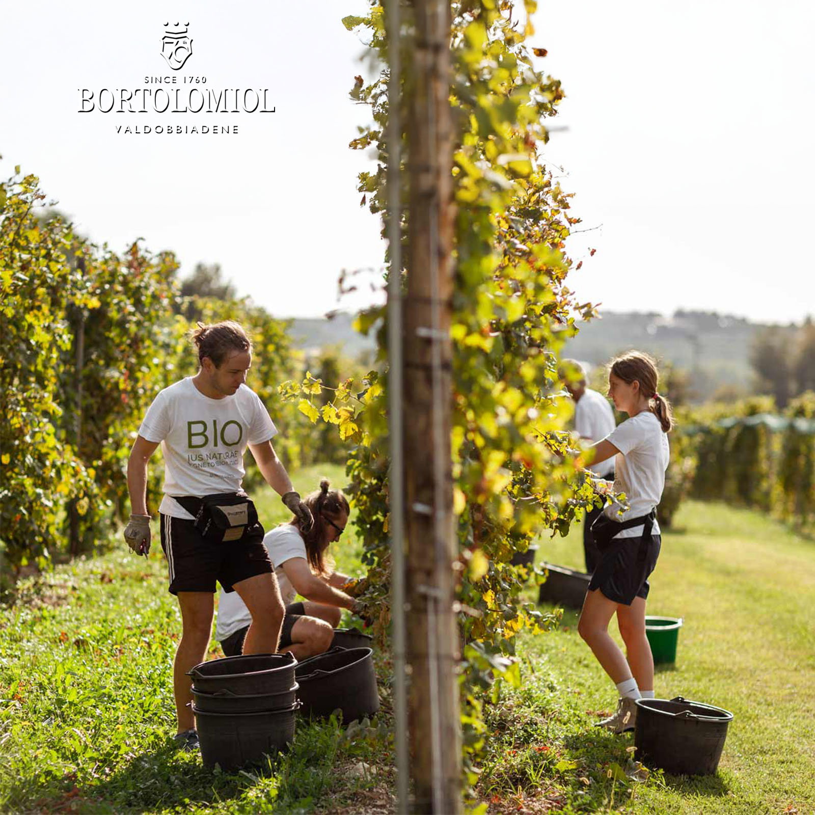 Prosecco Superiore 2022 Rive di Col San Martino Extra Brut