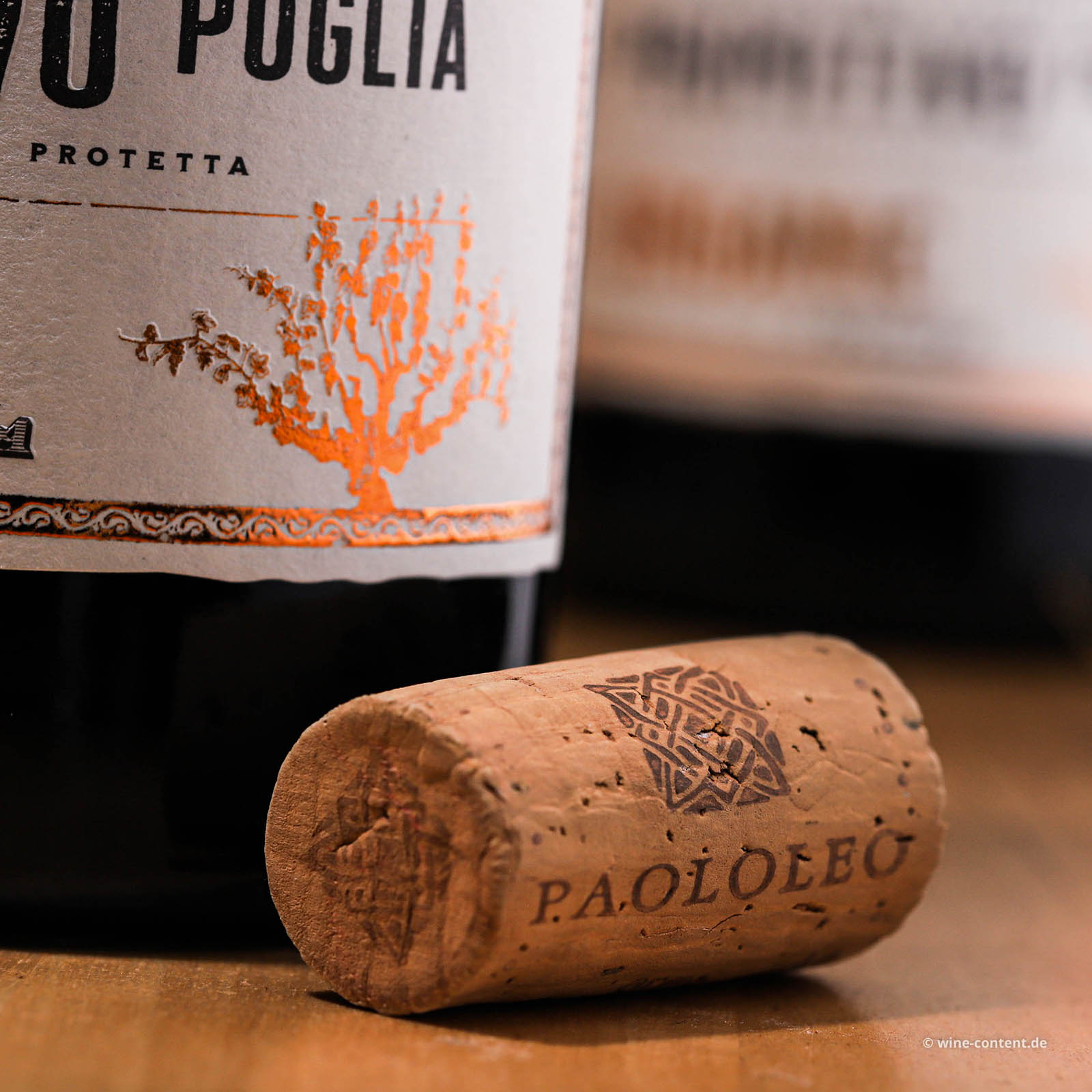 Primitivo 2023 Passitivo Bio