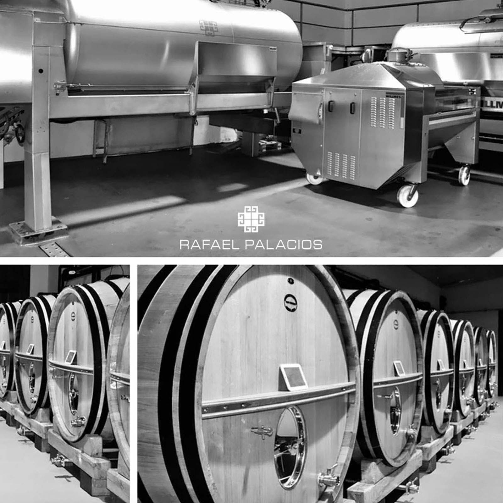 Godello 2024 As Sortes