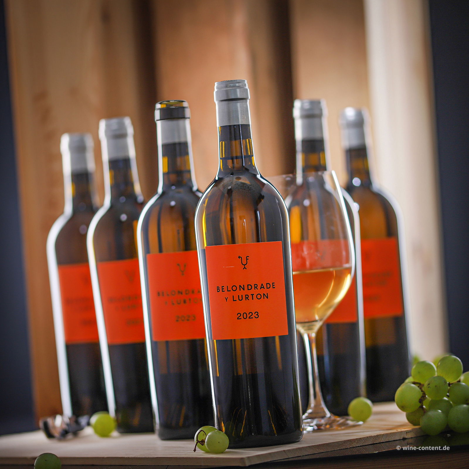 6er-Sparpaket Verdejo 2023 Belondrade y Lurton Bio