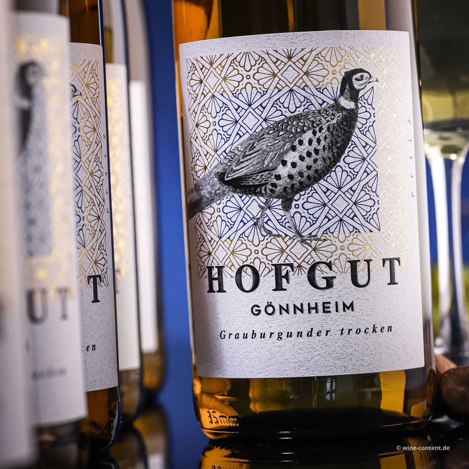 6er-Sparpaket Grauburgunder 2025 Gönnheim Bio