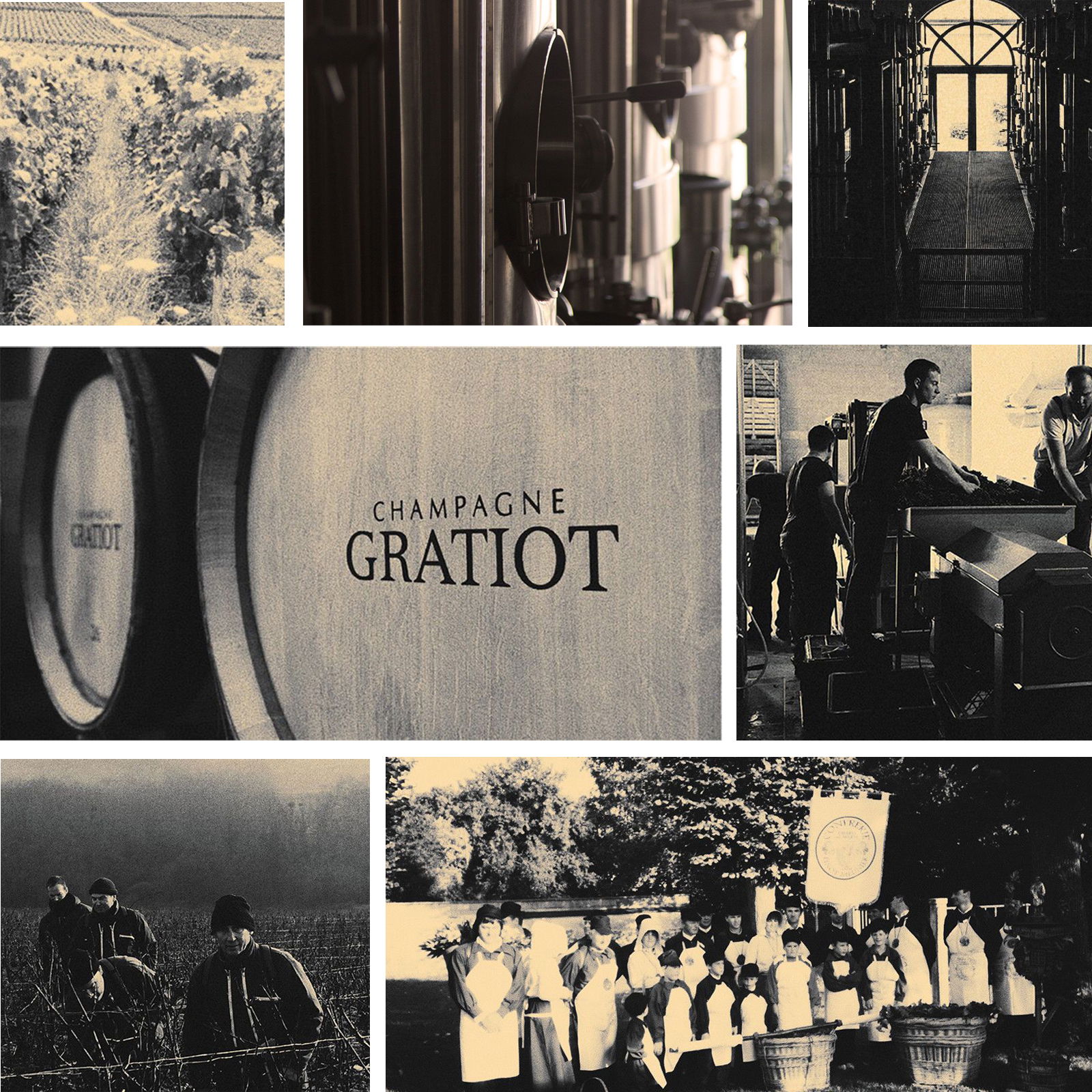 Champagner Rosé de Saignée 2018 Désiré Gratiot Extra Brut