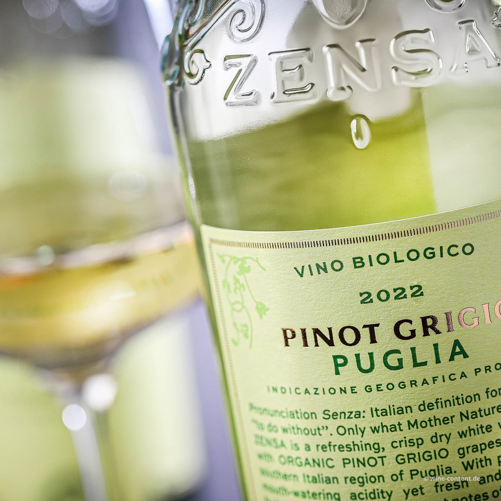 Pinot Grigio 2022 Bio