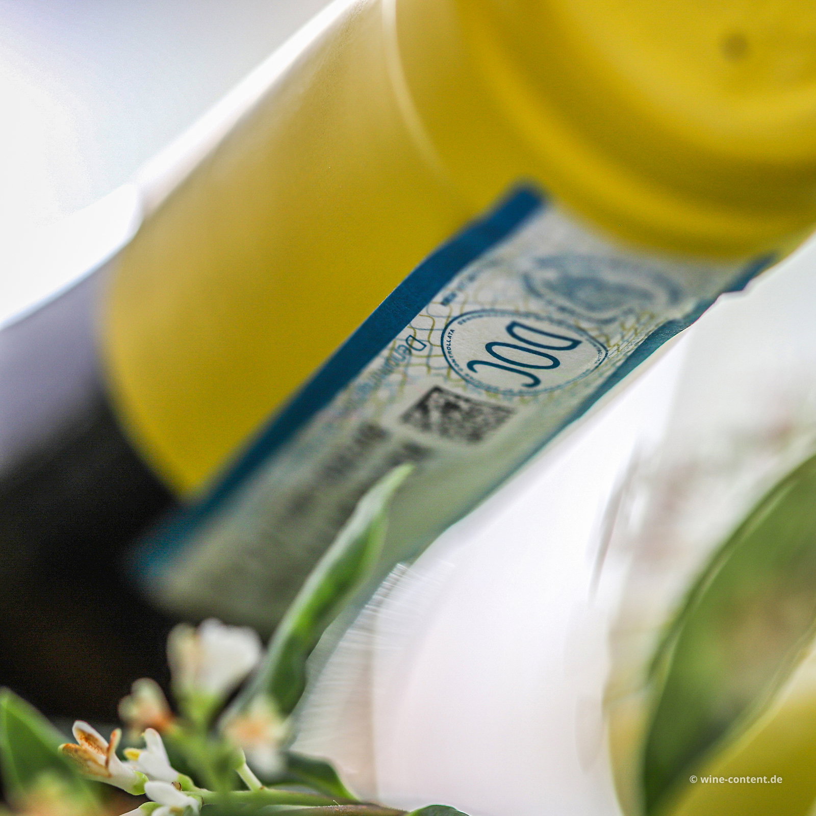 Grillo Sicilia 2025 Passiperduti