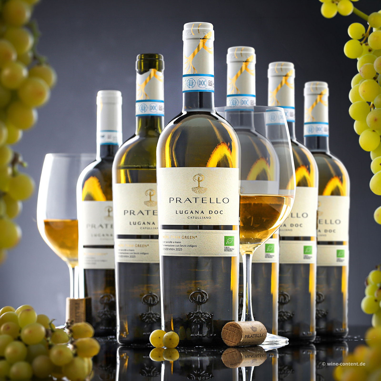 6er-Sparpaket Lugana 2025 Catulliano Bio