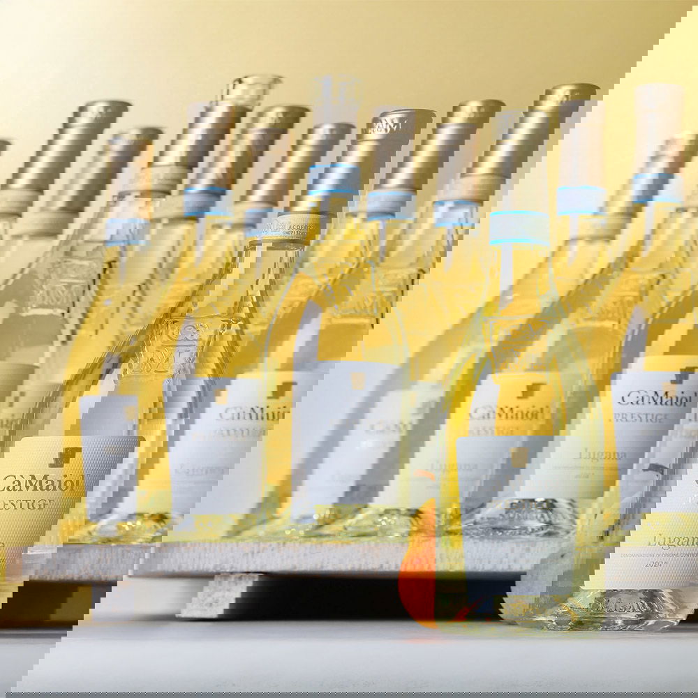 9er-Sparpaket Lugana 2024 Prestige