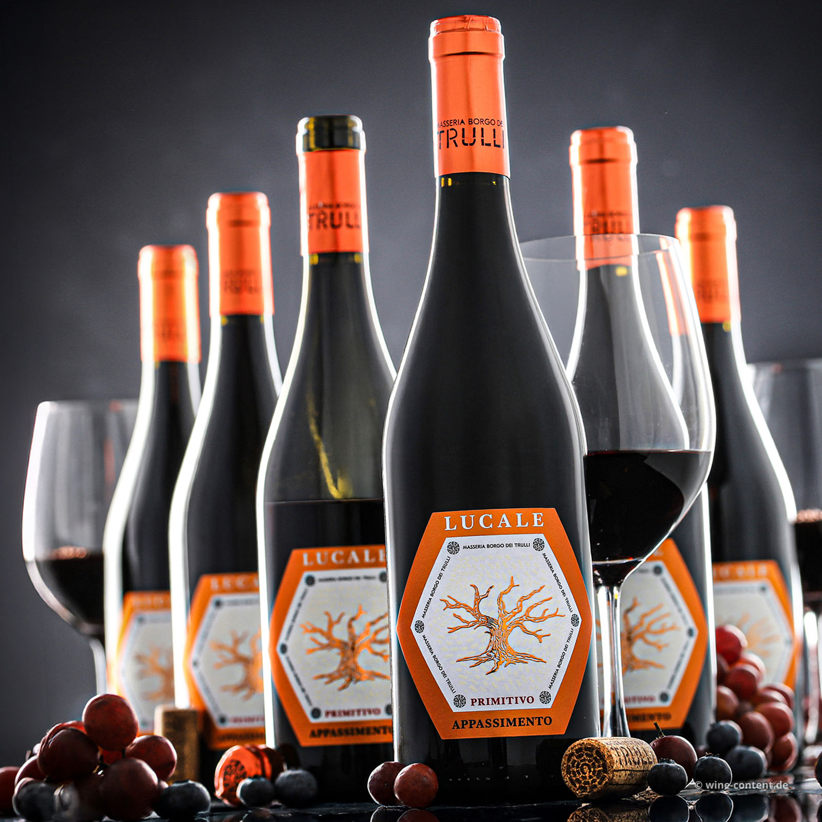6er-Sparpaket Primitivo Appassimento 2024 Lucale