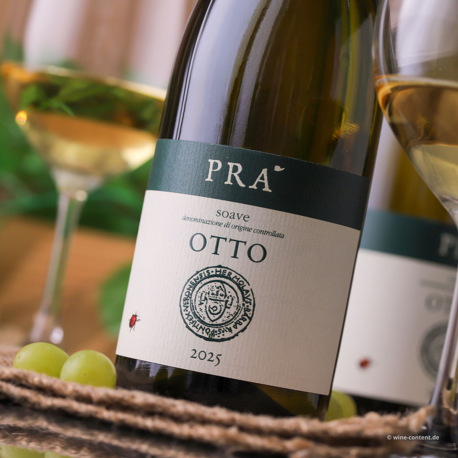 Soave 2025 Otto Bio