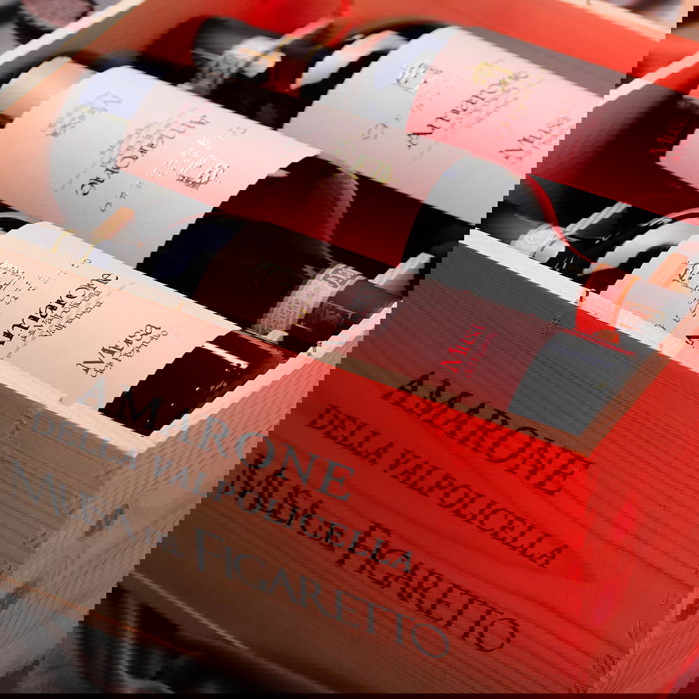 6er-Holzkiste Amarone Valpantena 2019 Musa del Figaretto