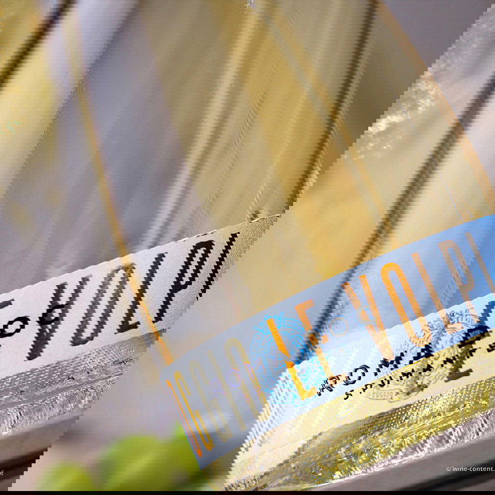 Spumante Roma DOC 2024