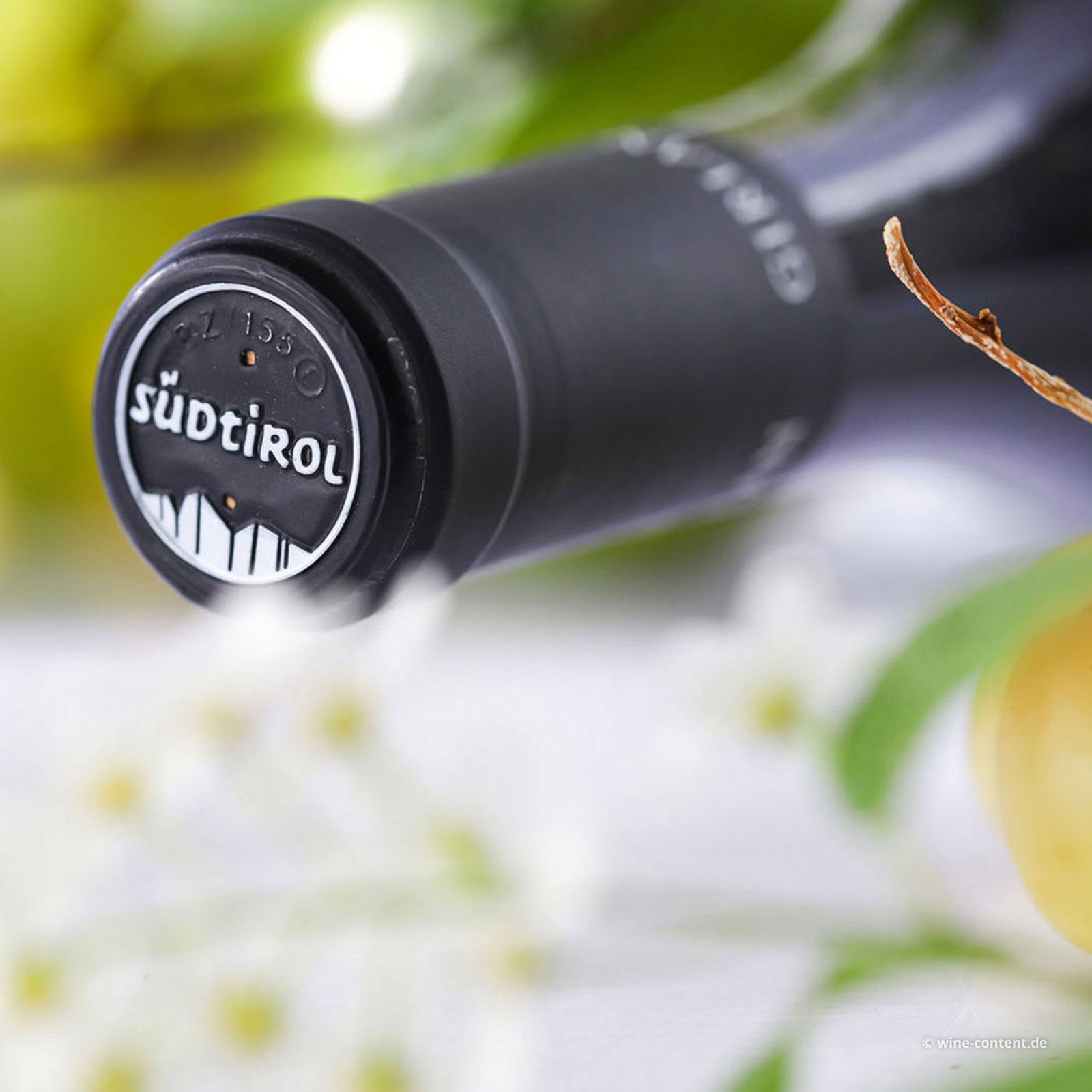 Pinot Bianco 2024 Platt & Riegl