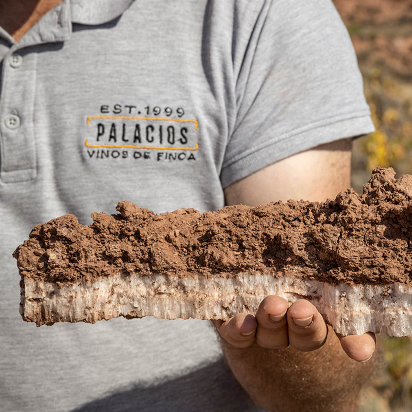 Rioja 2019 Garnacha Vinedos Viejos