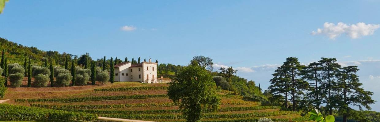 Bertani