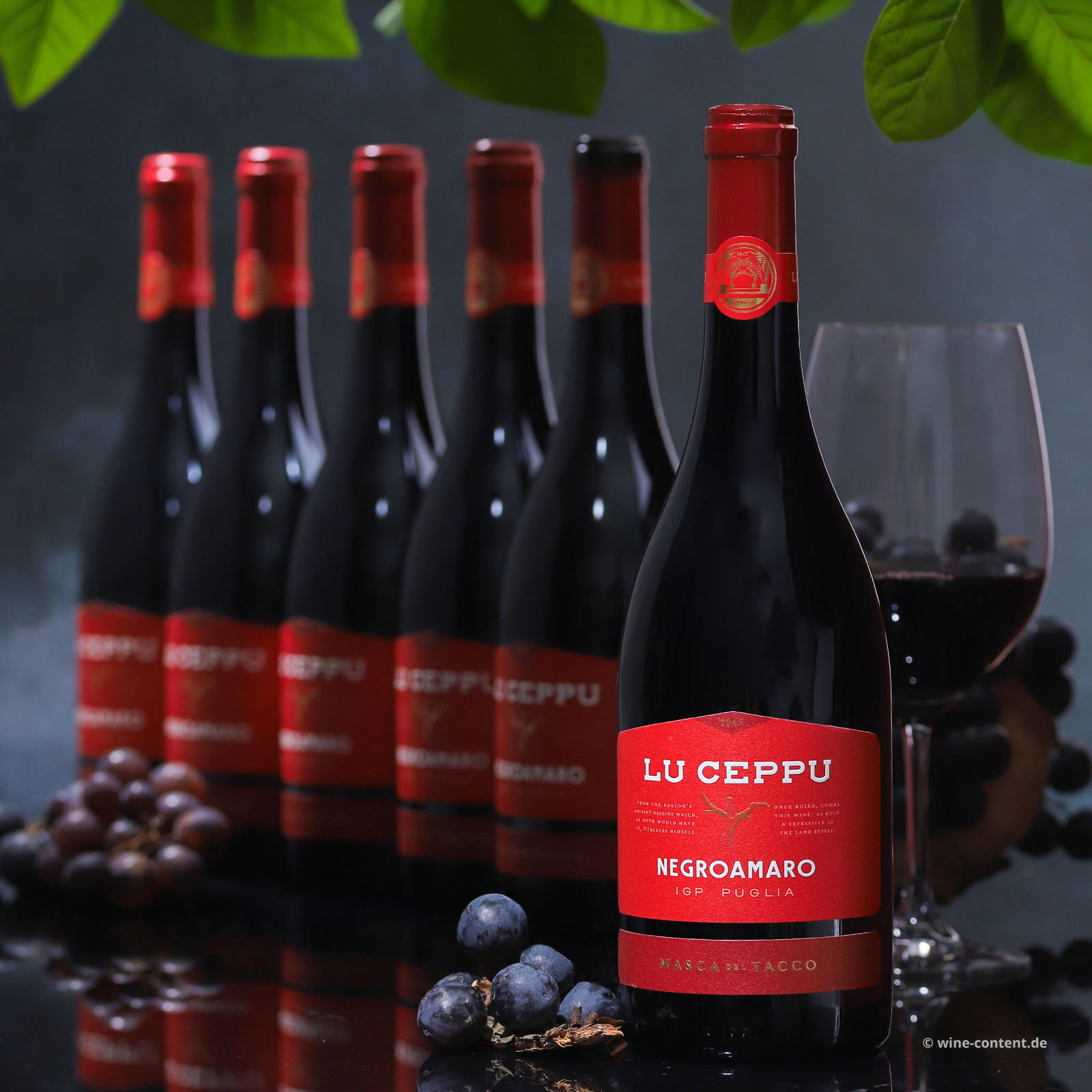 6er-Sparpaket Negroamaro 2025 Lu Ceppu