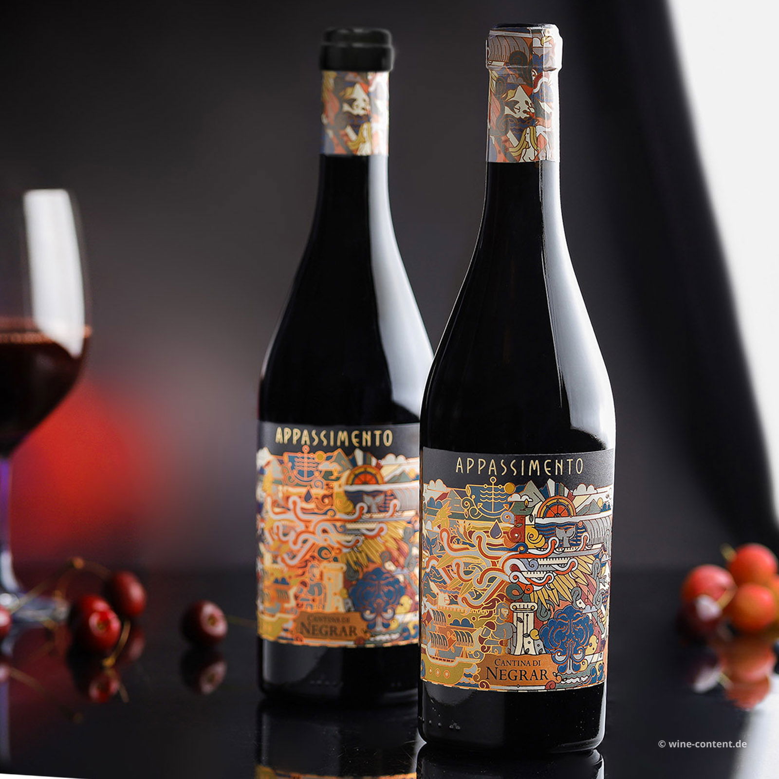 Rosso Veneto 2024 Appassimento Rosso Veneto 2024 Appassimento