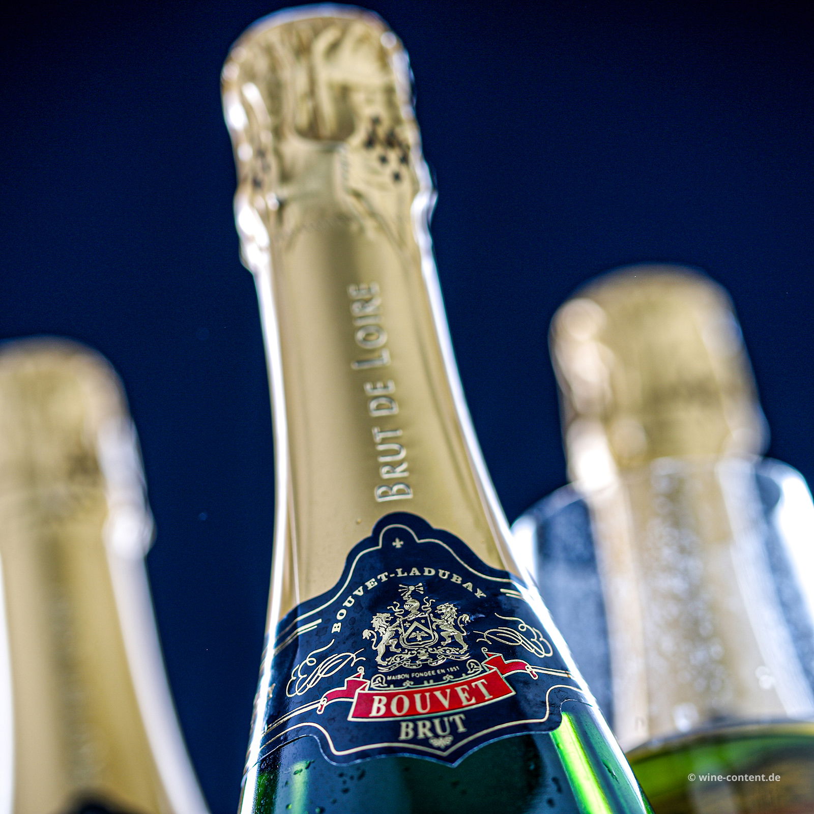 6er-Sparpaket Crémant de Loire Excellence Brut