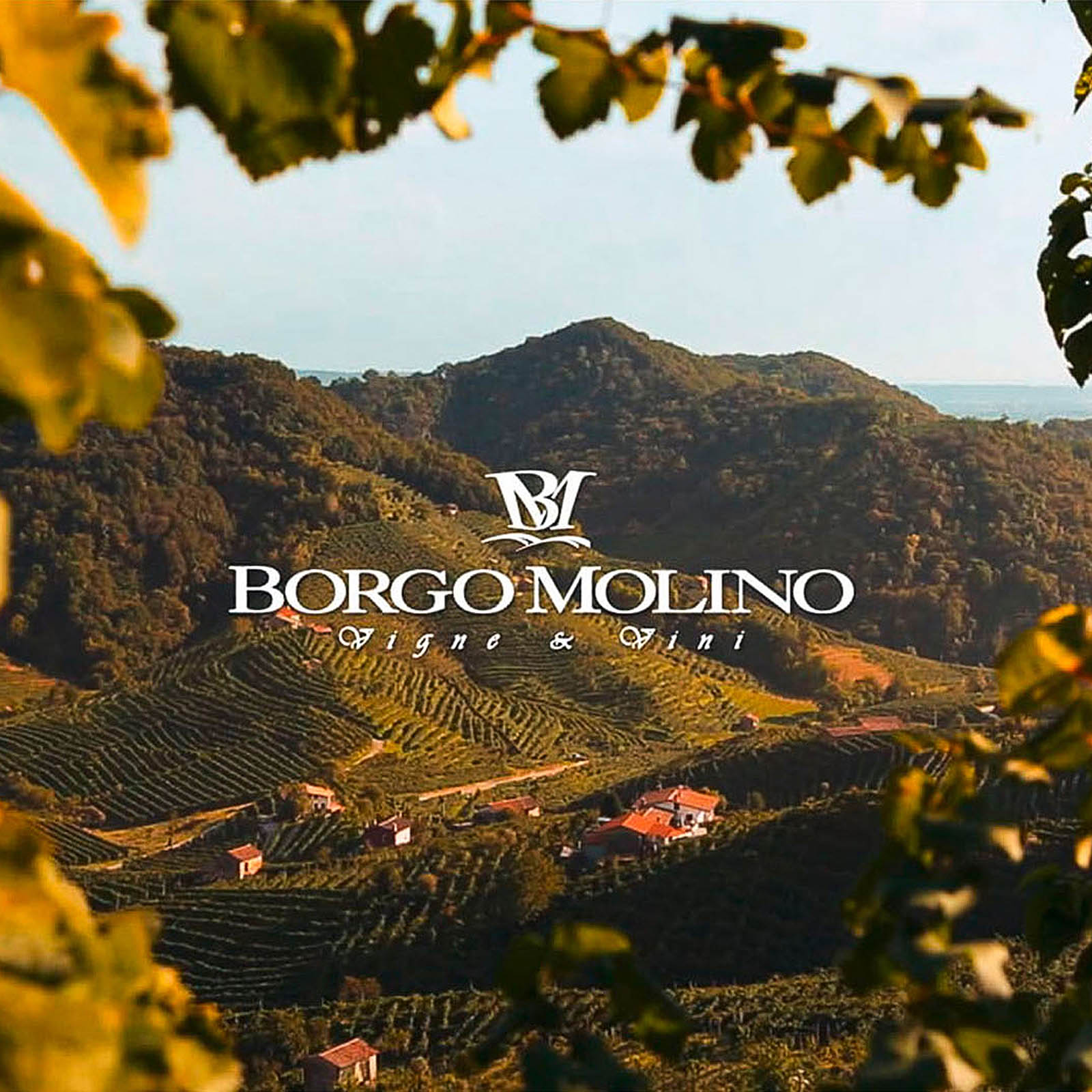 Prosecco Superiore 2025 Rive di Miane Extra Brut